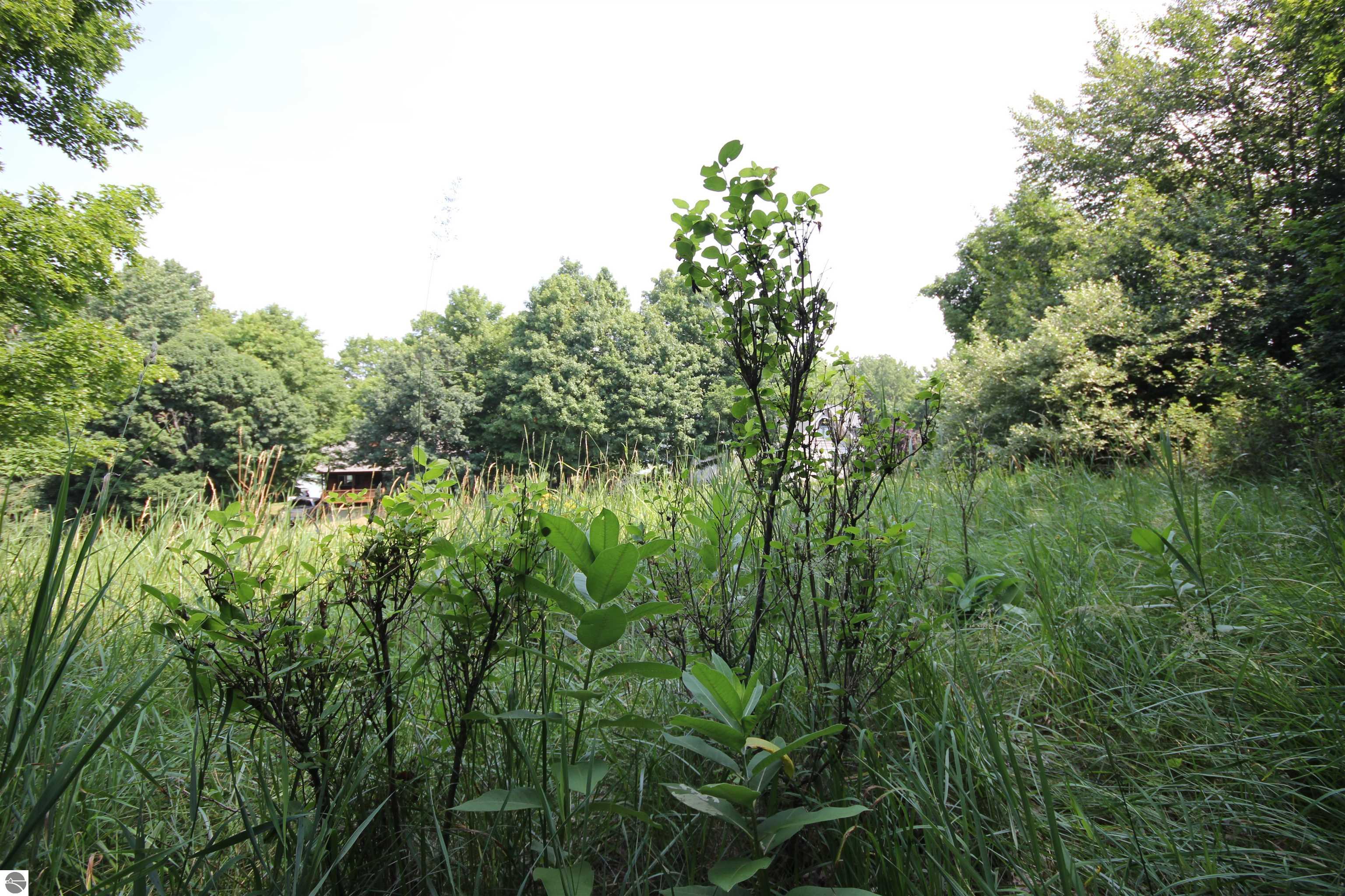 Image 18