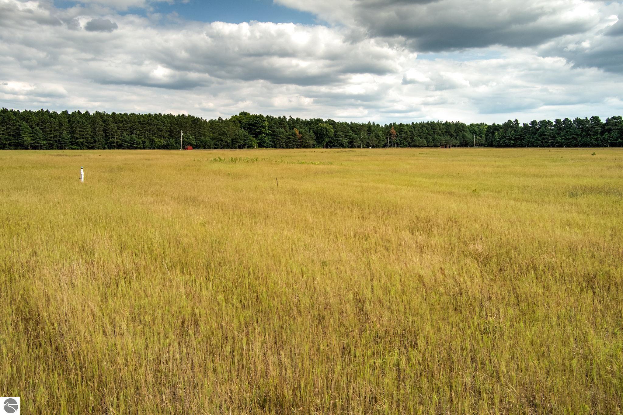 Image 13