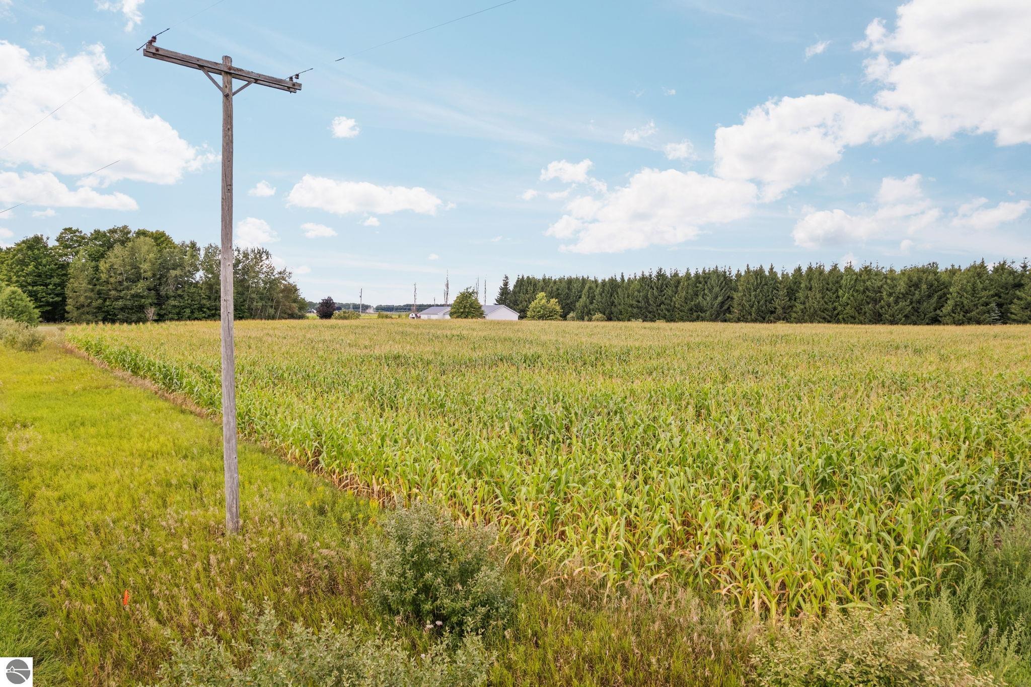 Image 64