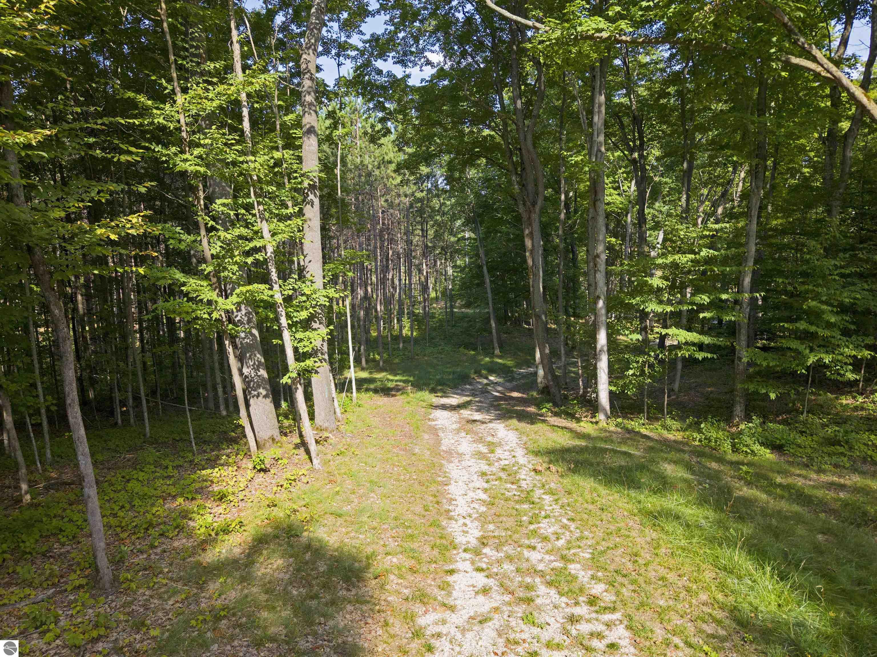 Image 14