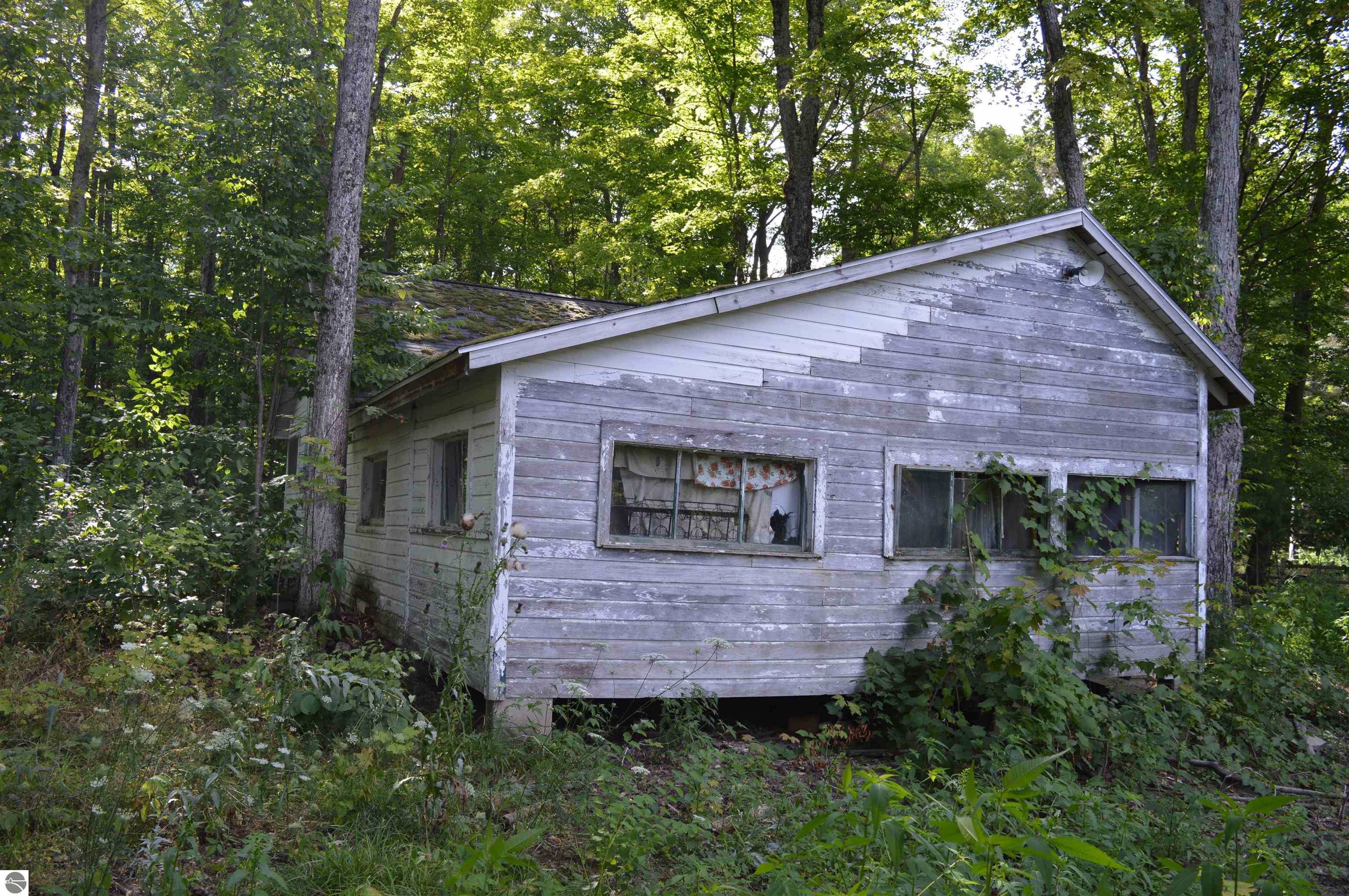 Image 13