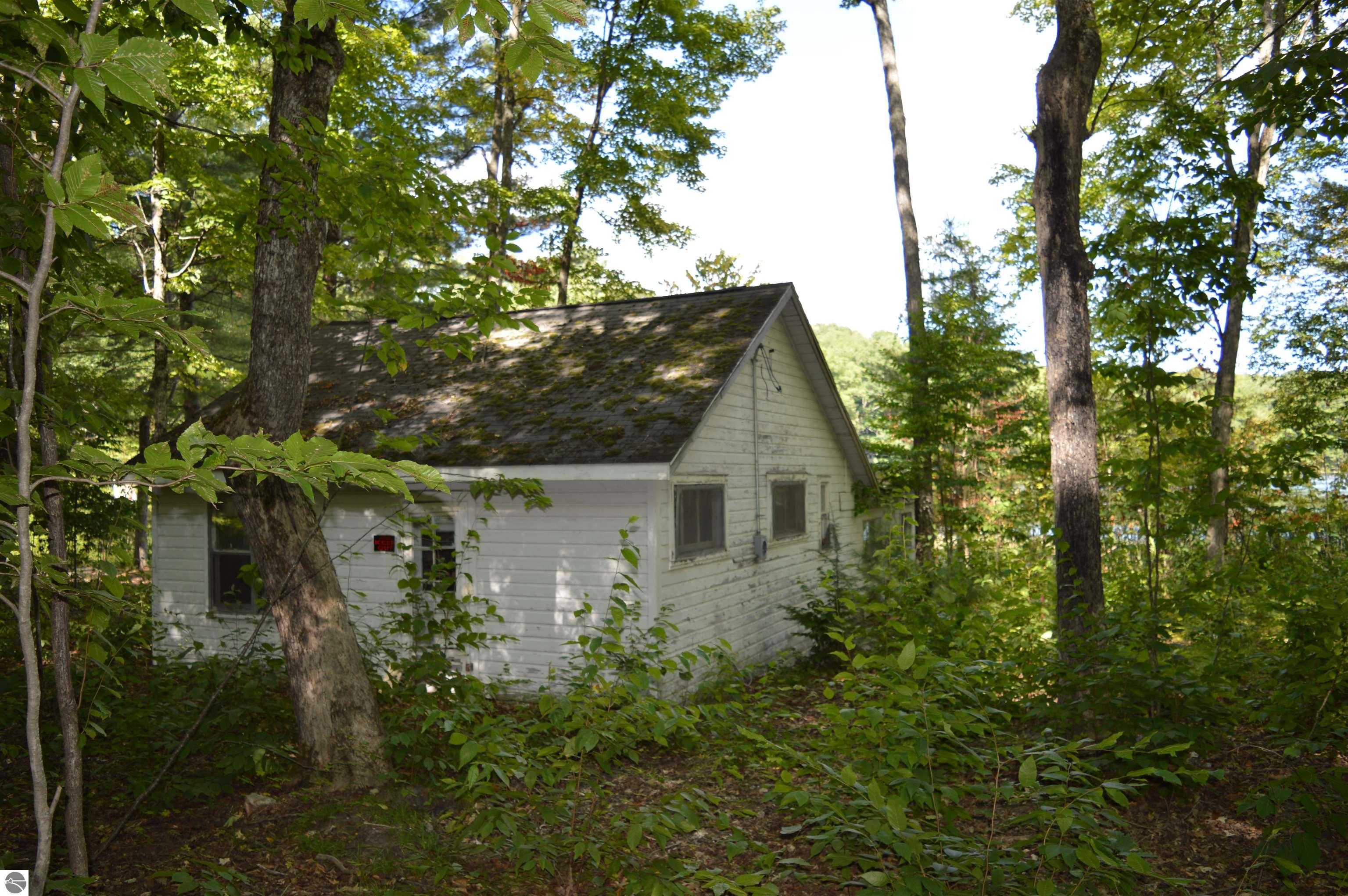 Image 15