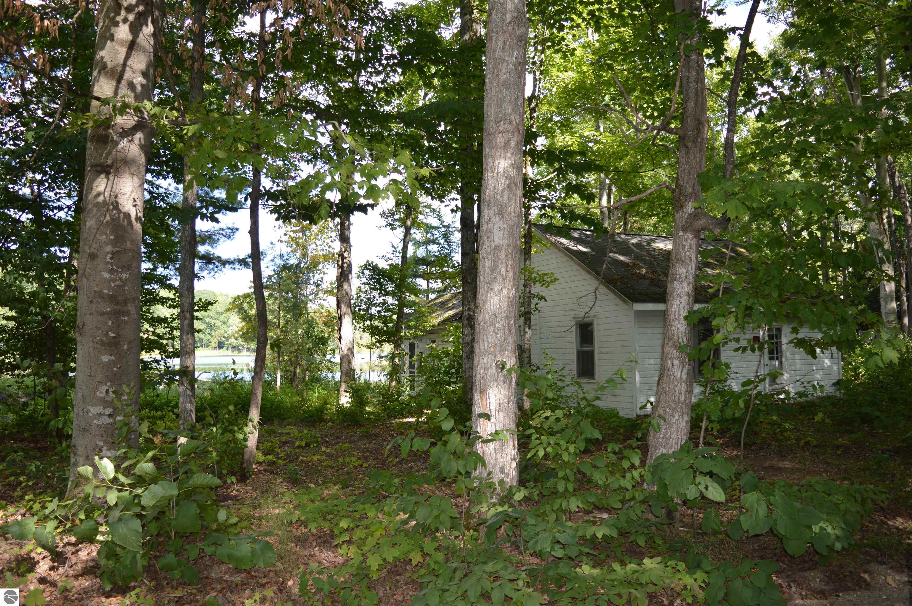 Image 16