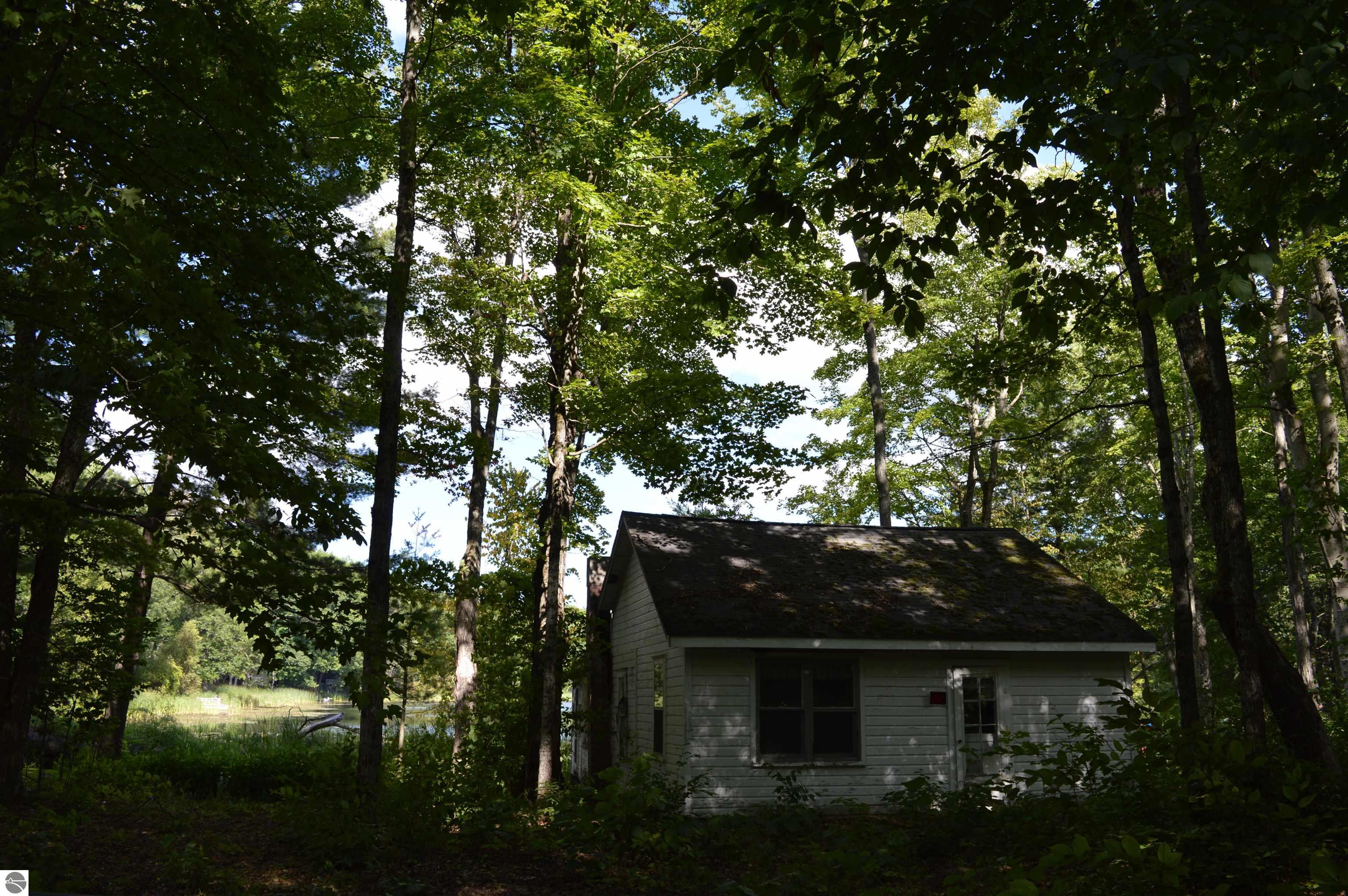 Image 19