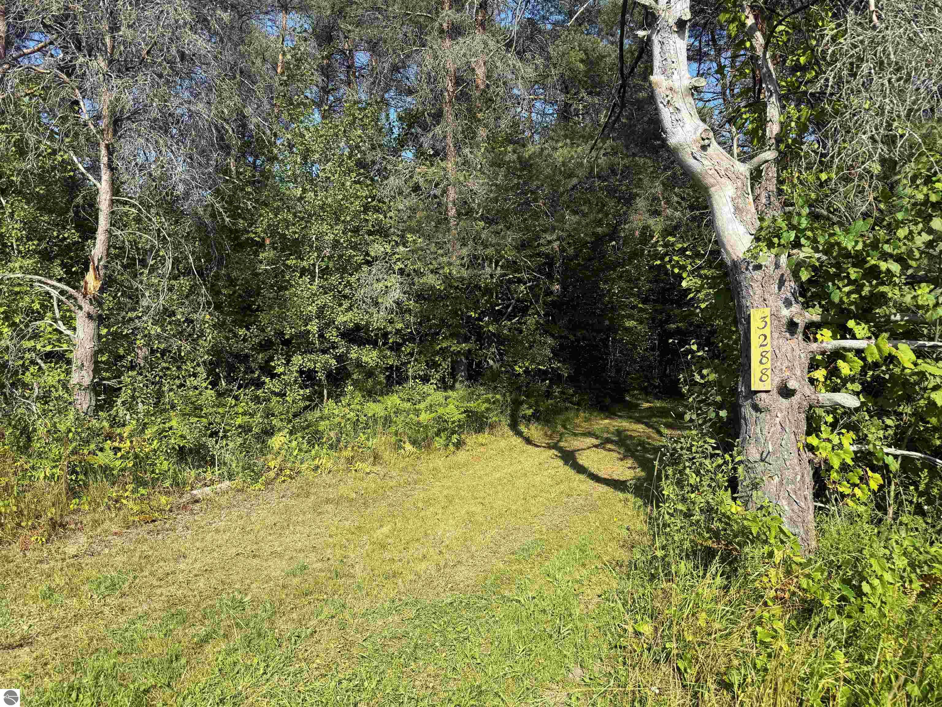 Image 15