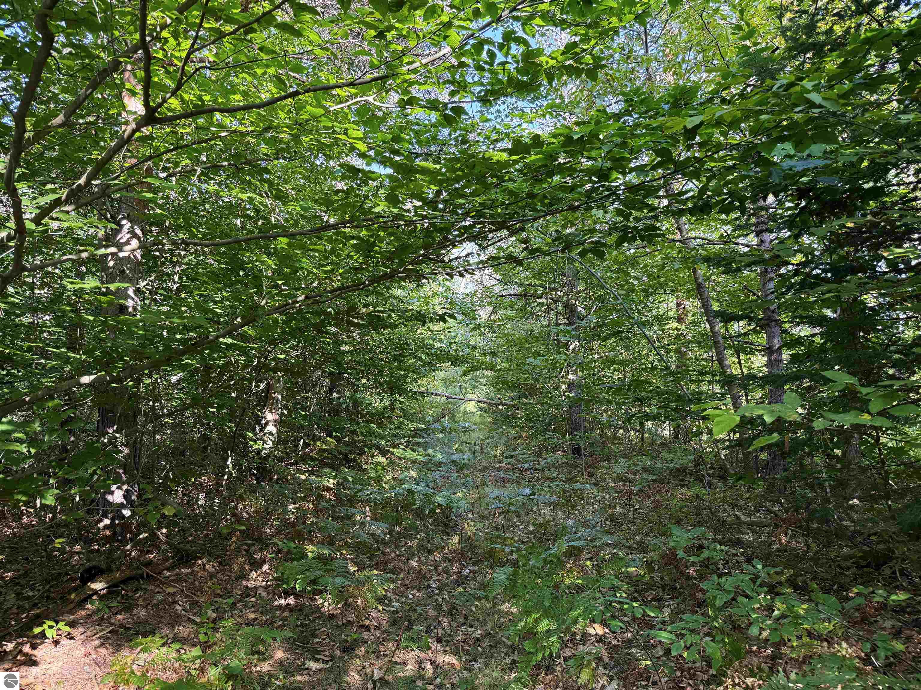 Image 25