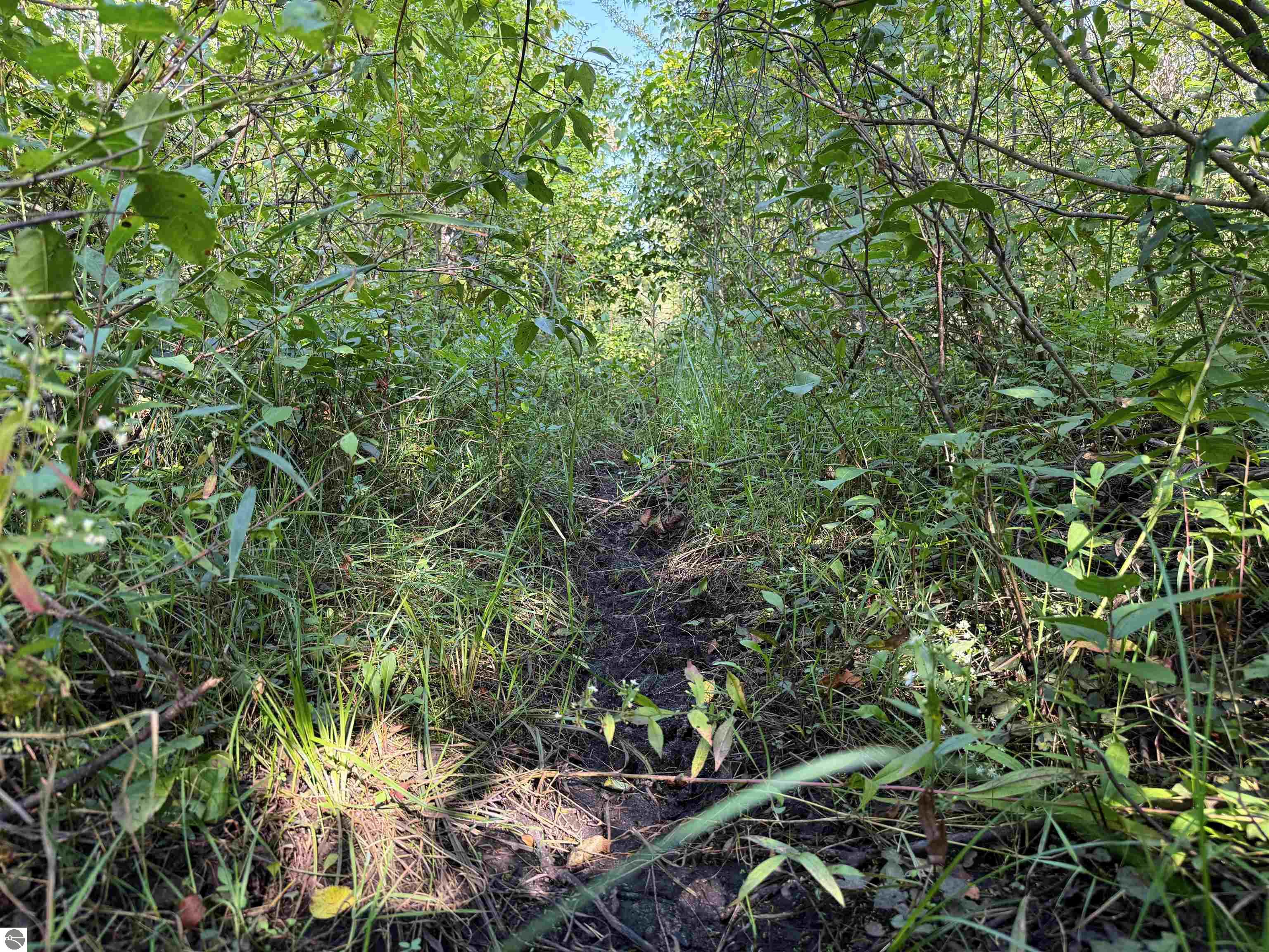 Image 28