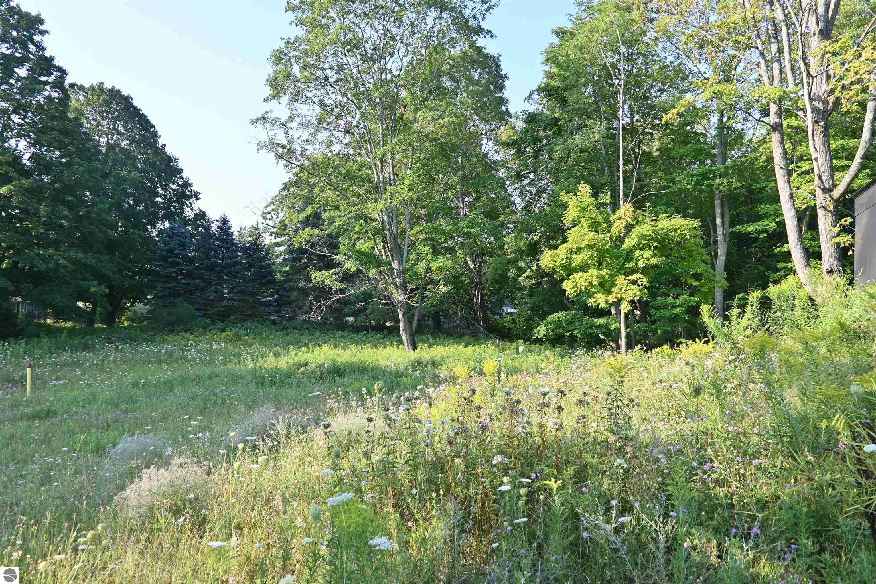 Image 59