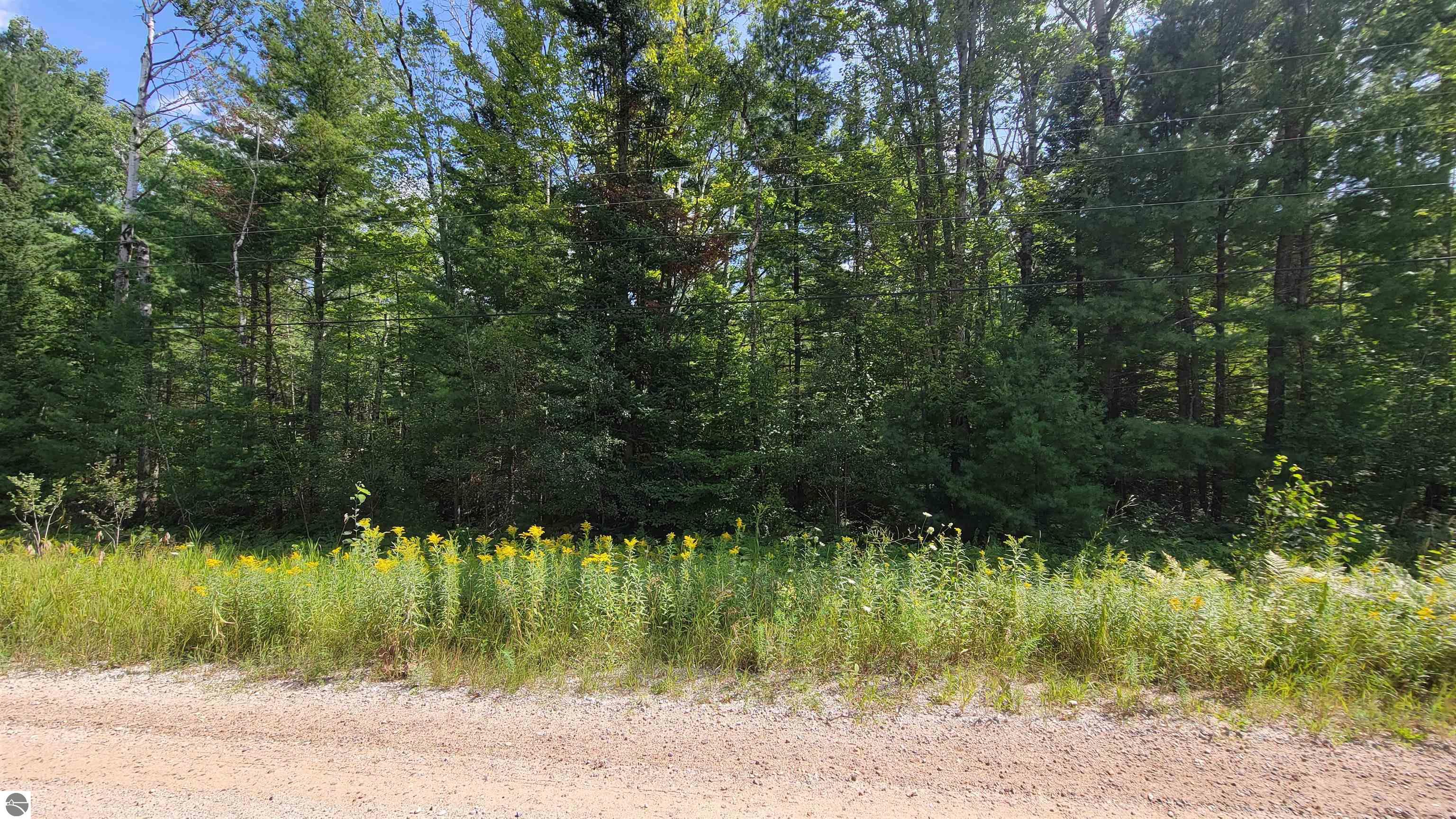 15097 Avenue D, Wolverine MI 49799, Wolverine, MI, 49799 — photo 2