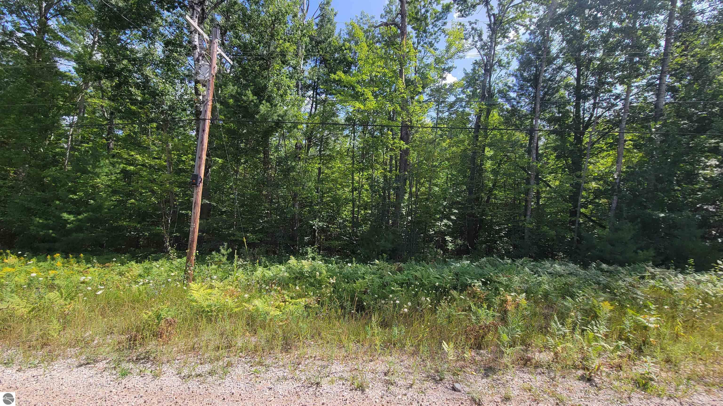 15097 Avenue D, Wolverine MI 49799, Wolverine, MI, 49799 — photo 4