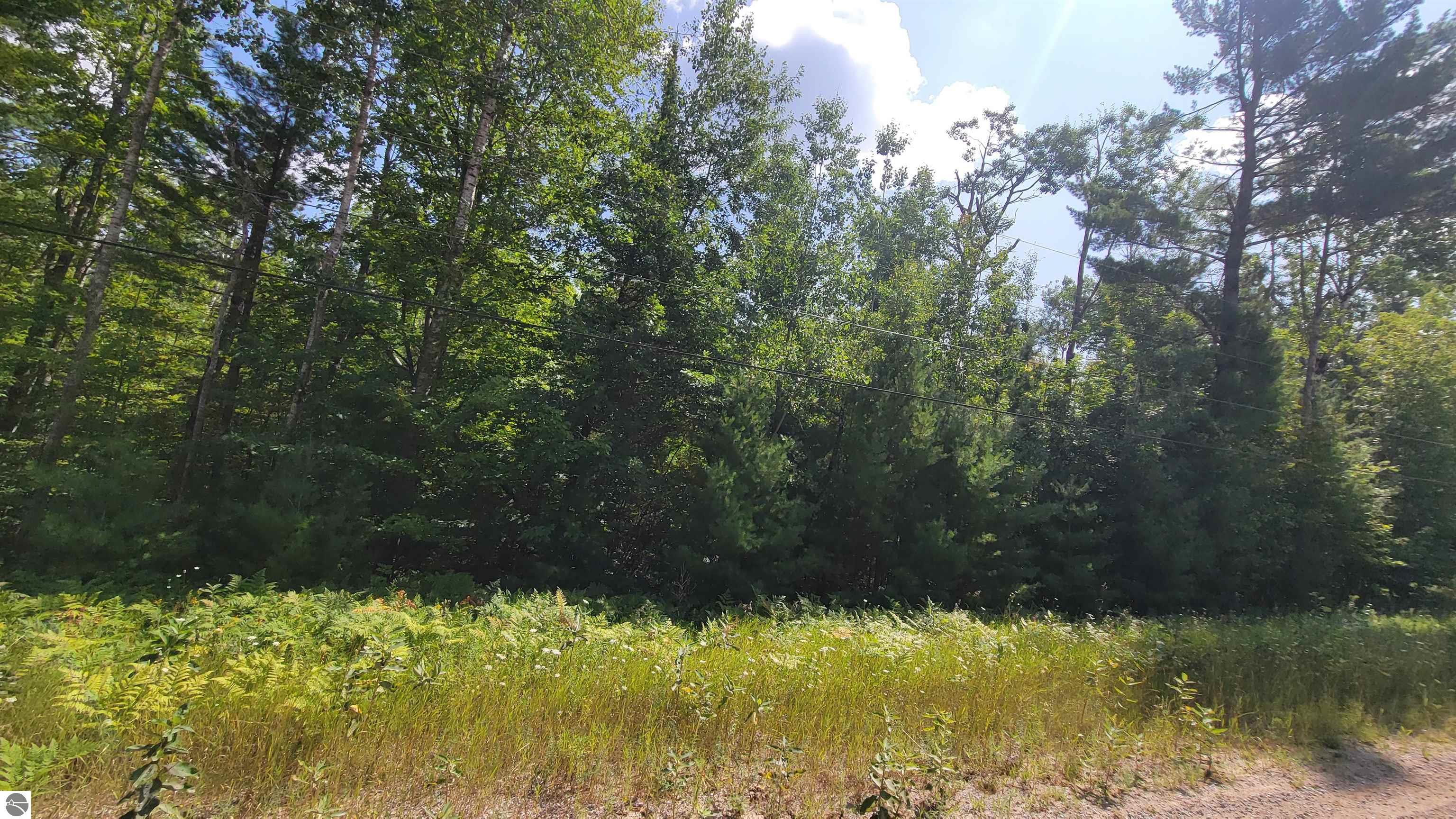 15097 Avenue D, Wolverine MI 49799, Wolverine, MI, 49799 — photo 5