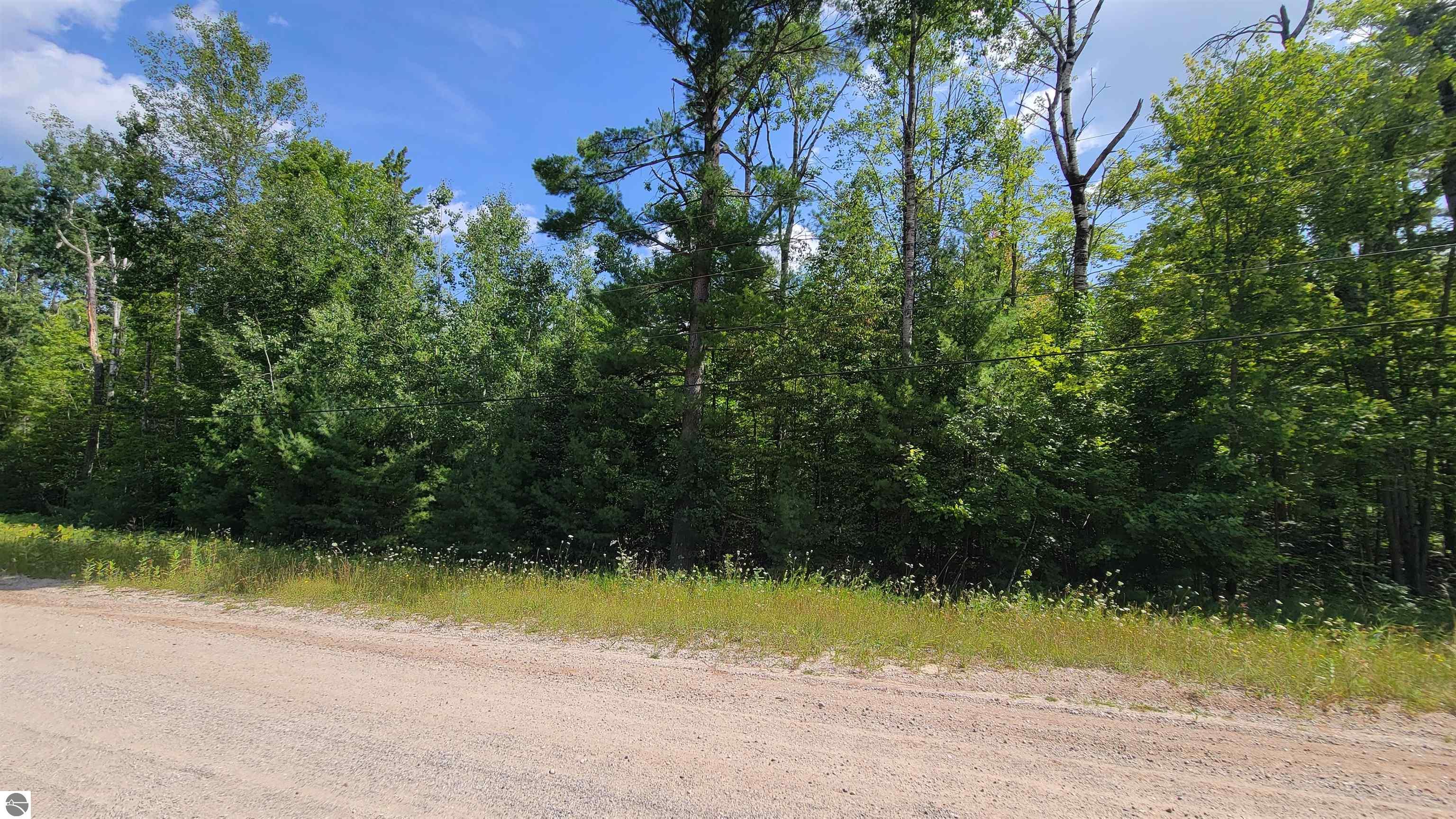 15097 Avenue D, Wolverine MI 49799, Wolverine, MI, 49799 — photo 6