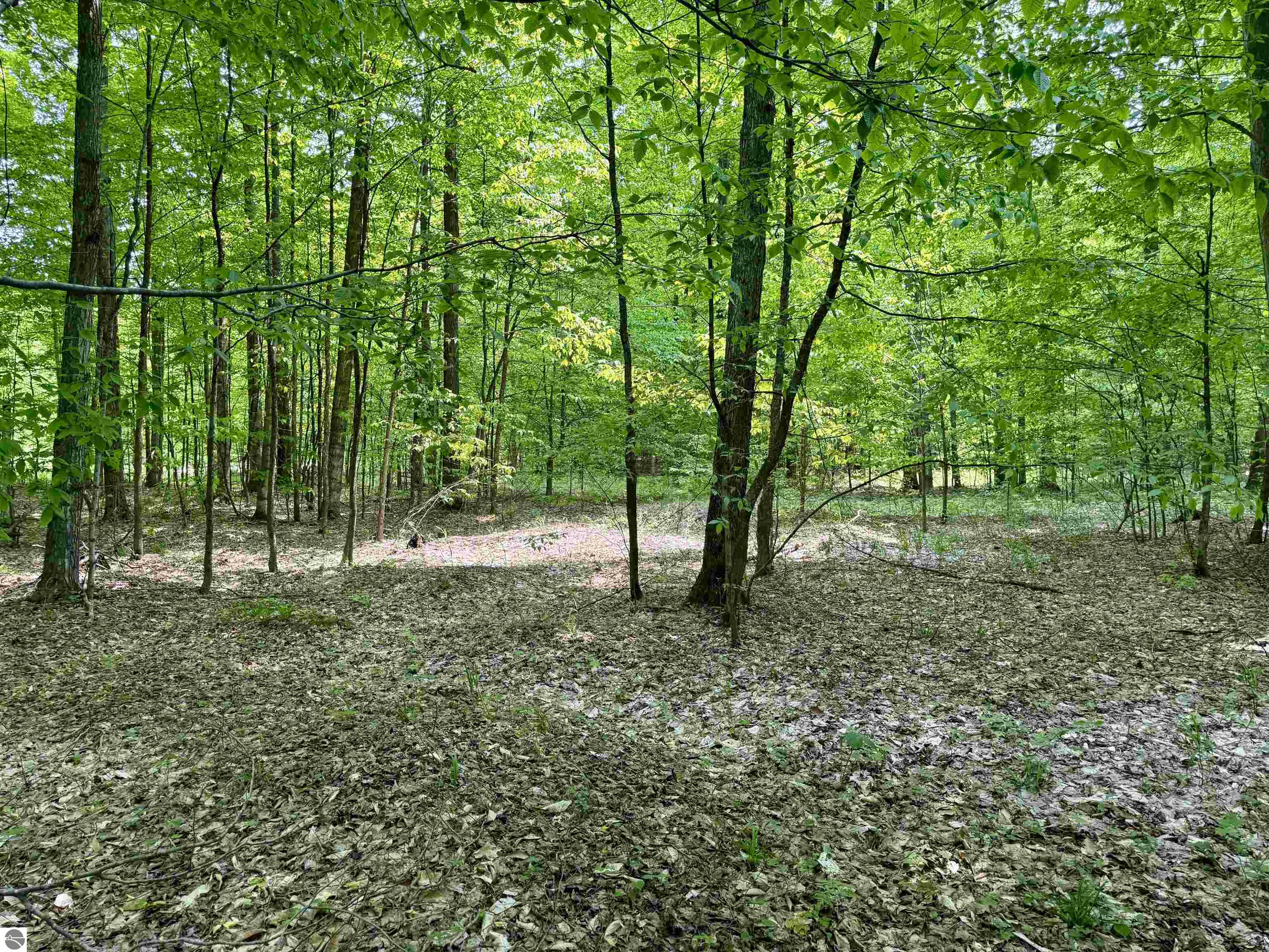 Image 13