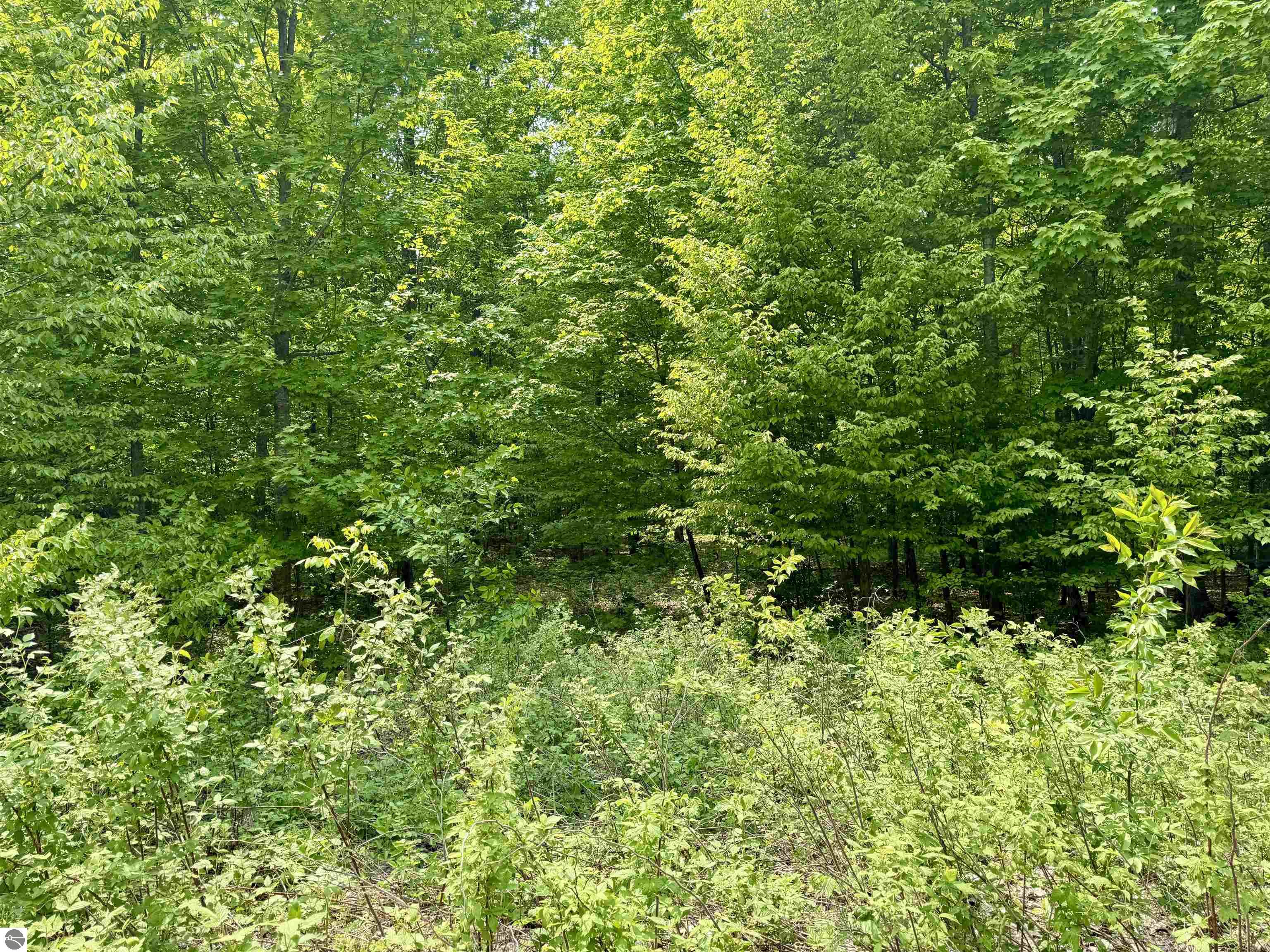 Image 14