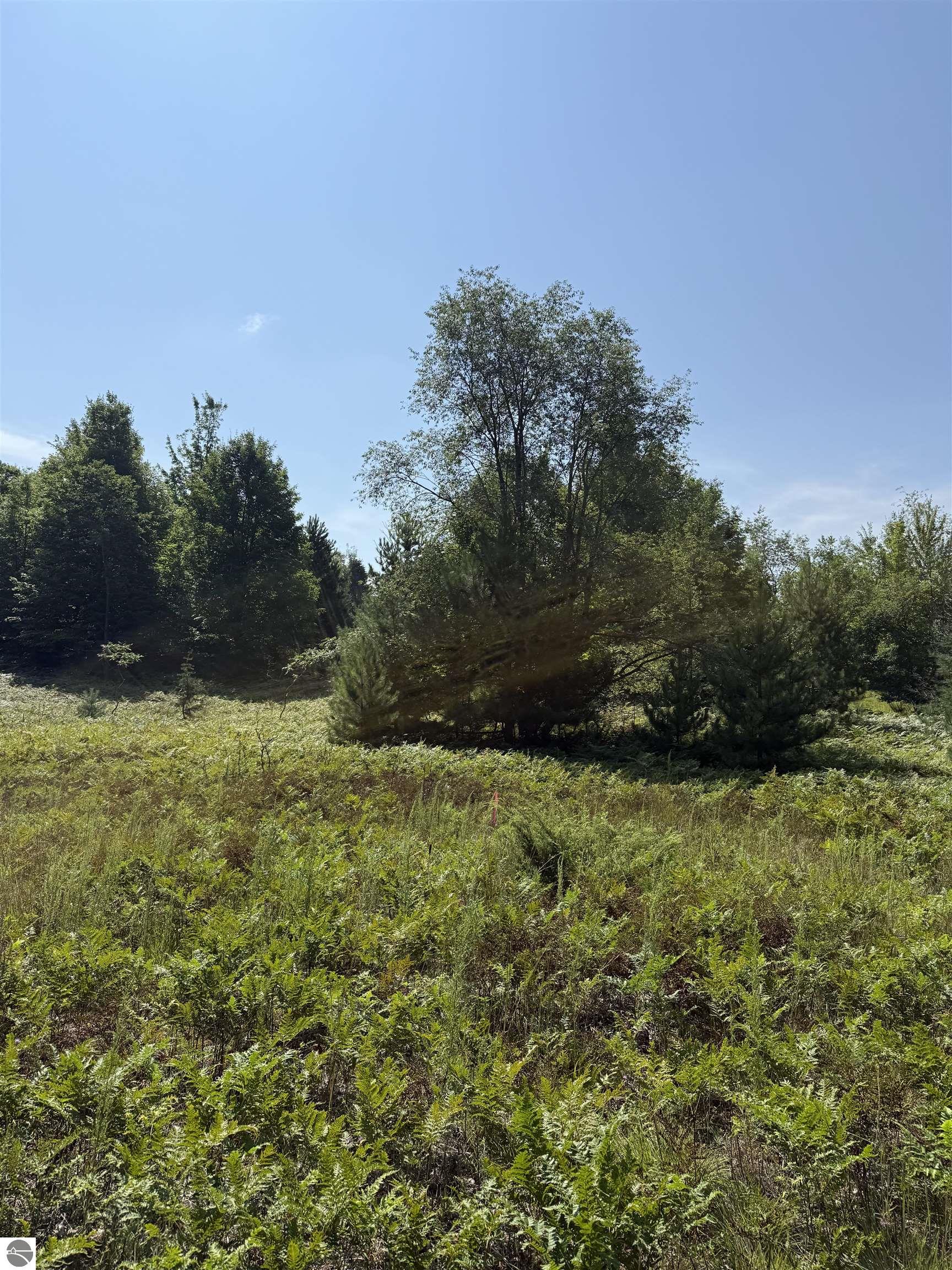 Image 25