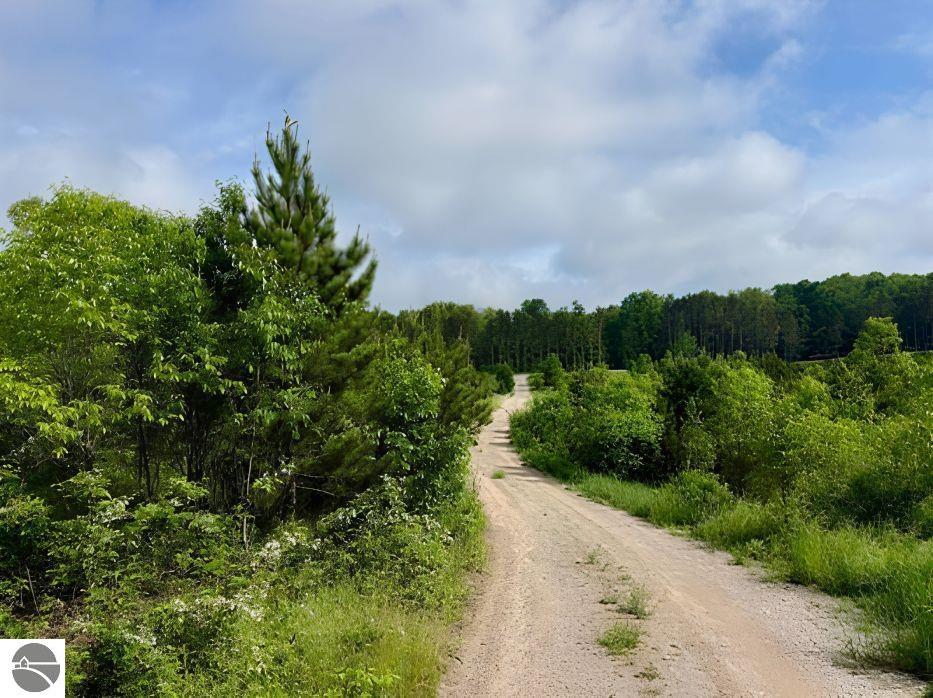 Image 25