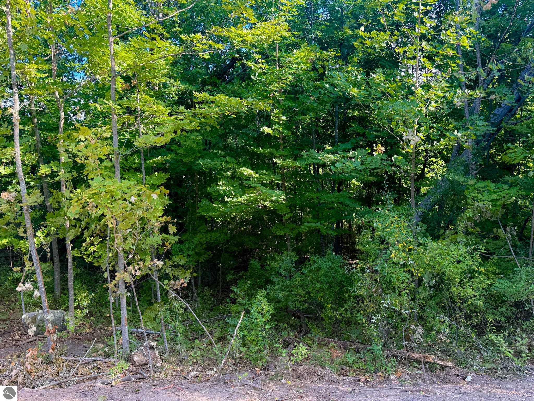 Image 14