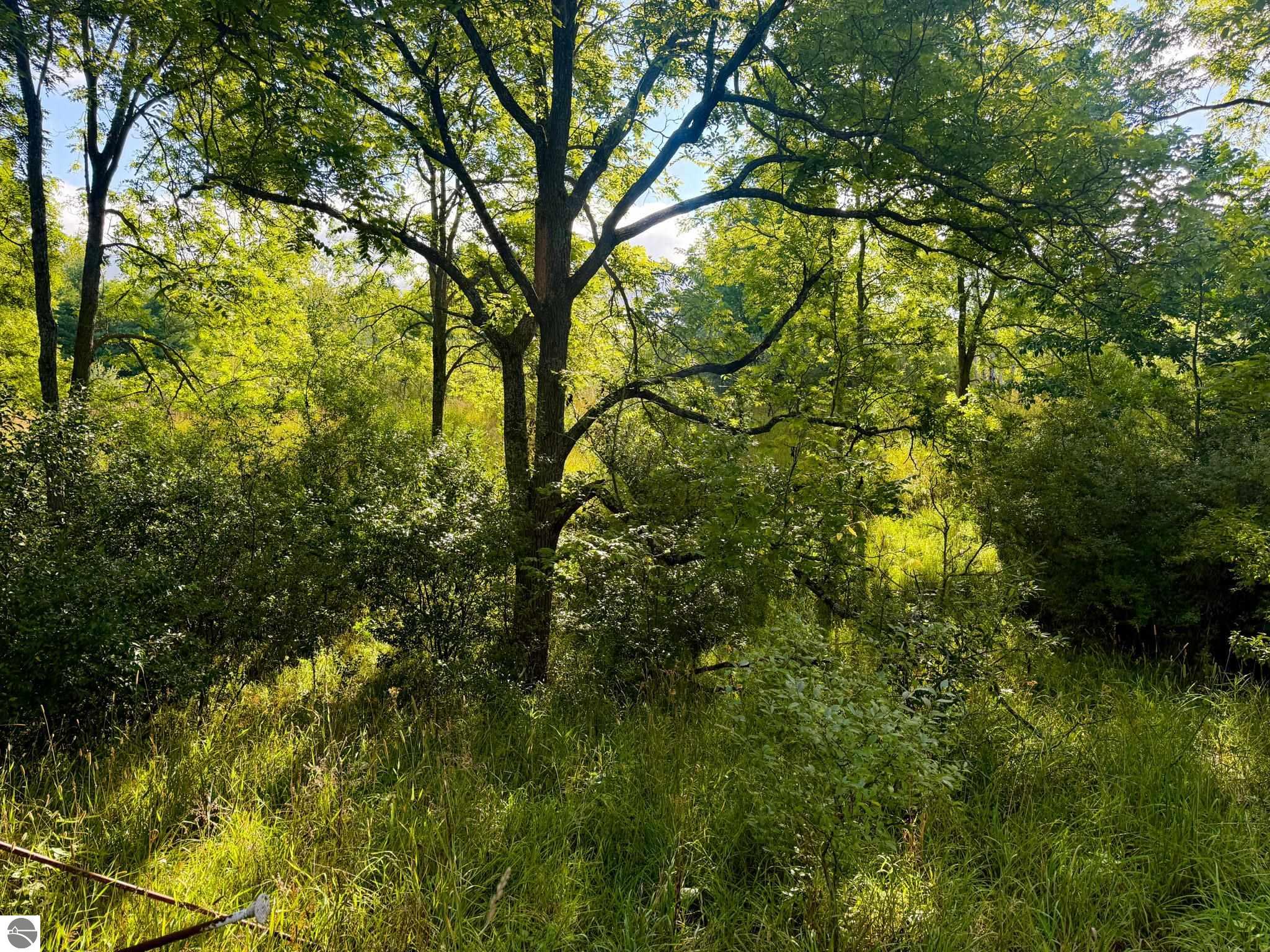 Image 18