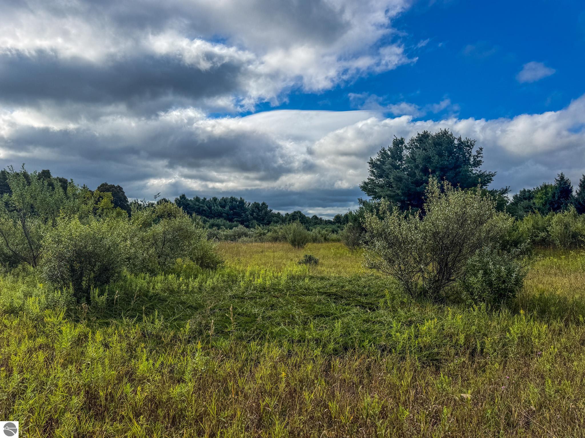 Image 25