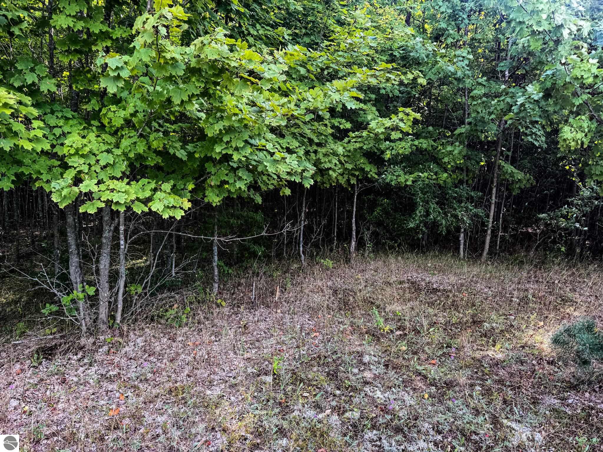 Image 14