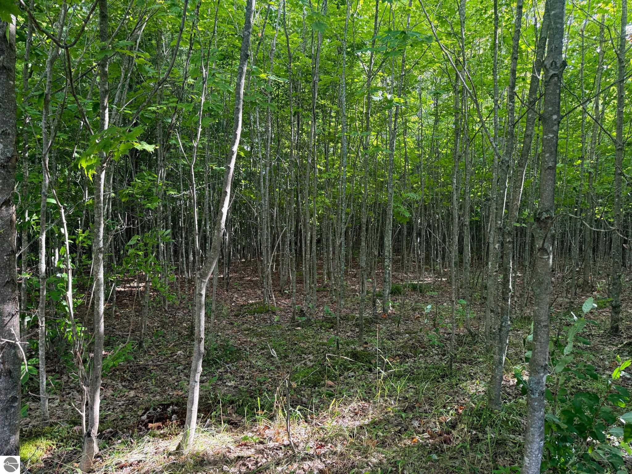 Image 15