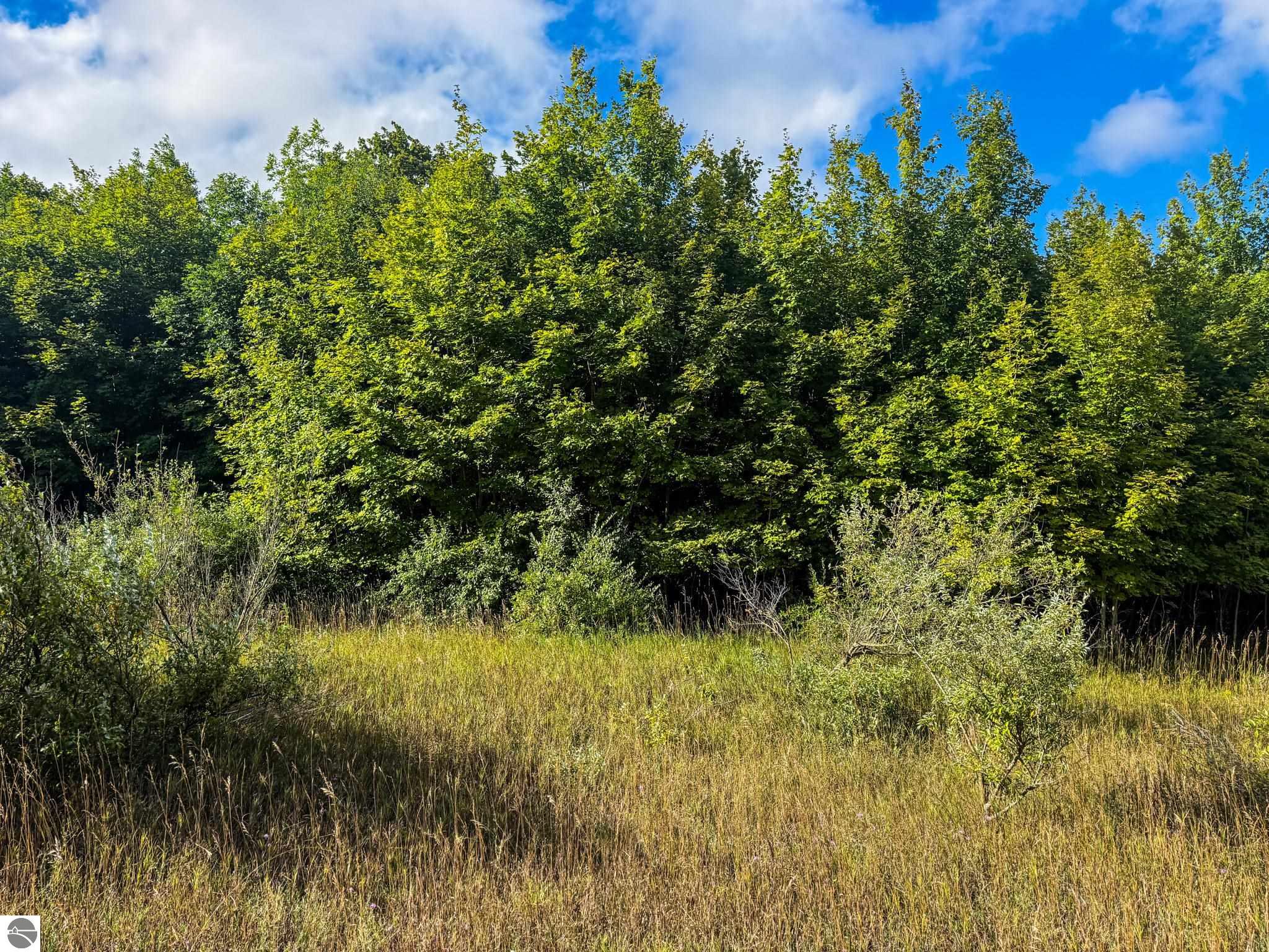 Image 14