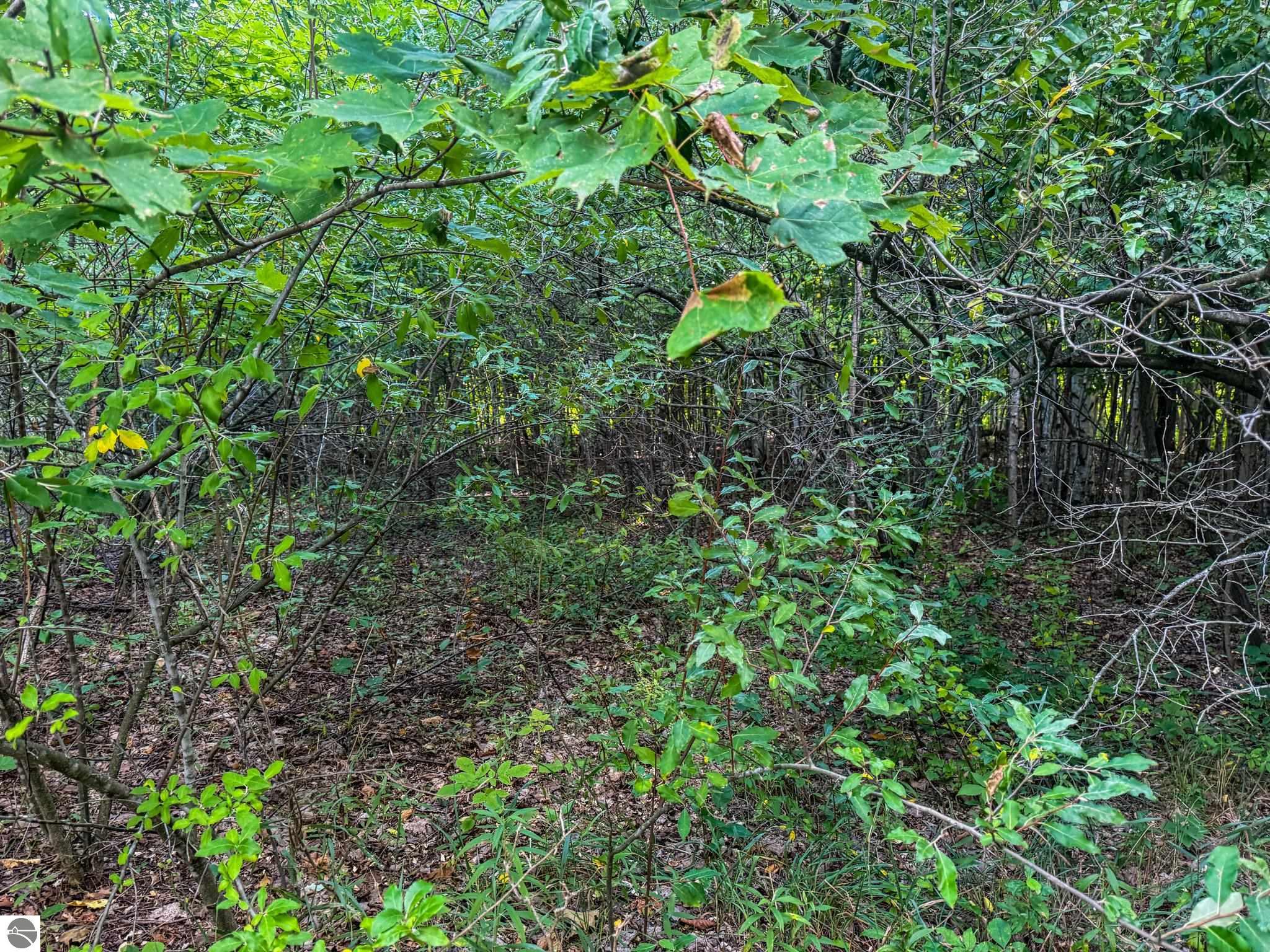 Image 18