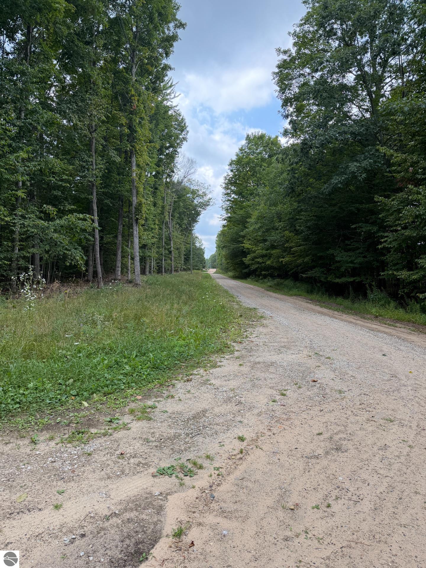 Image 19