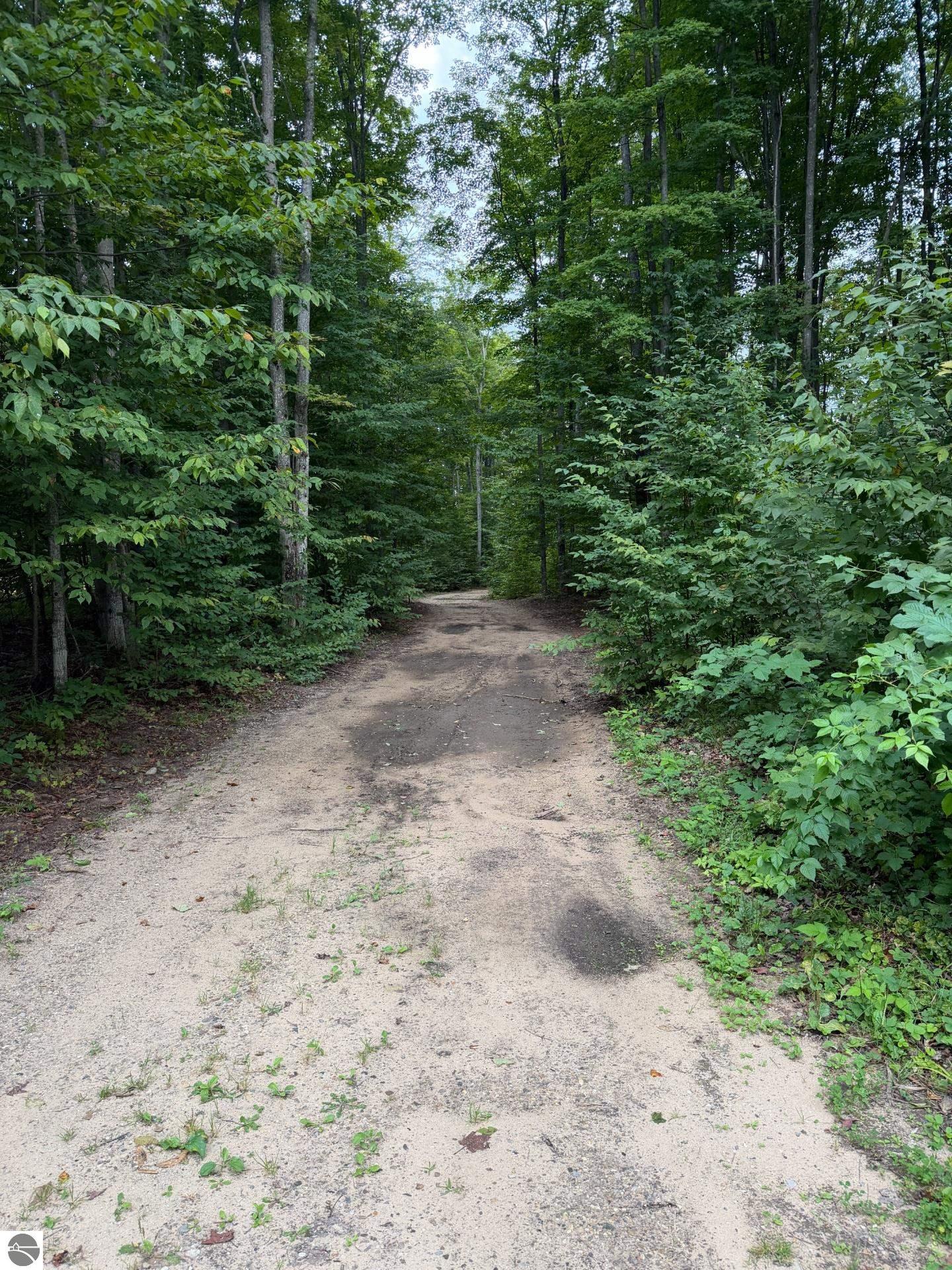 Image 22