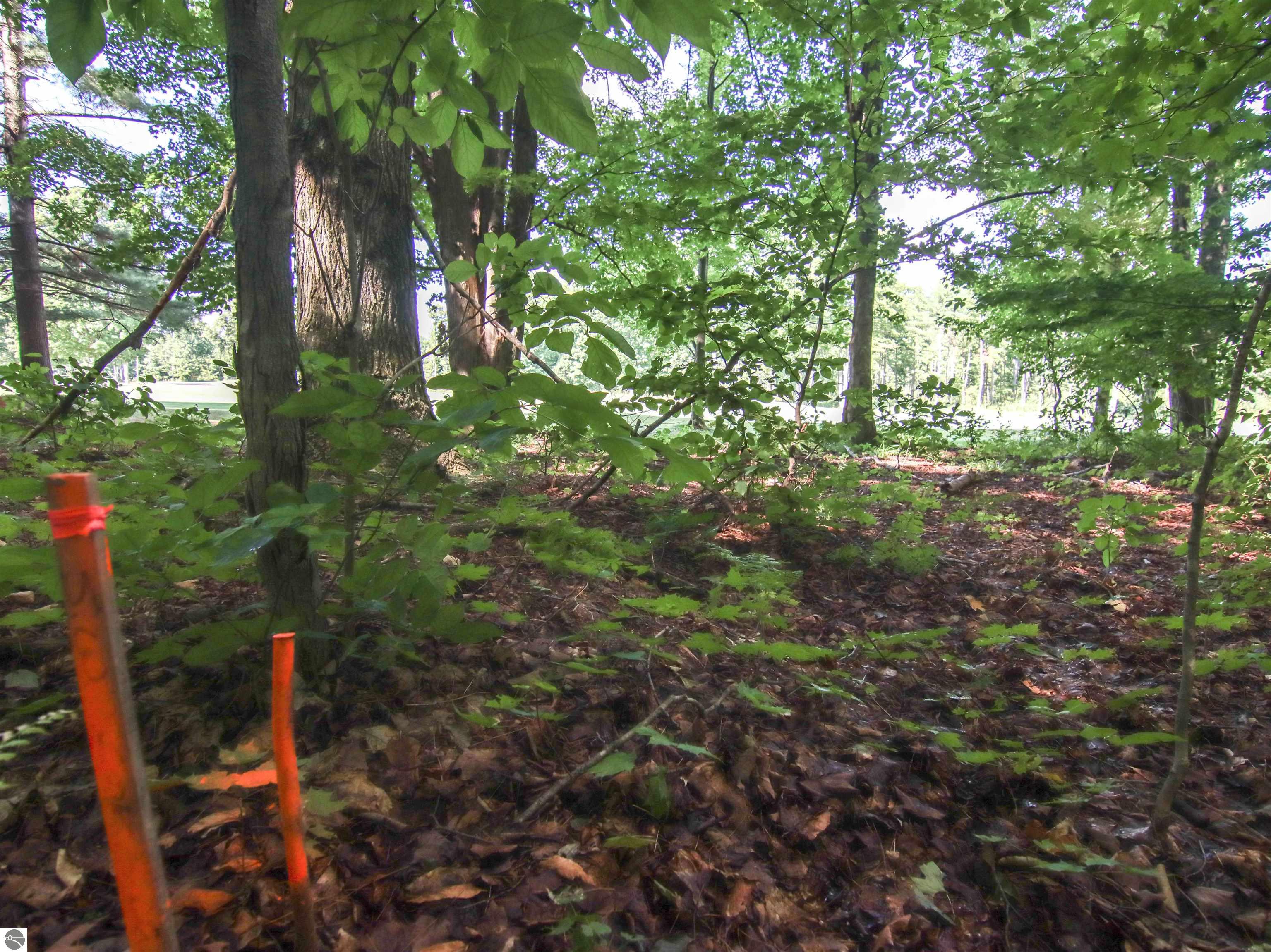 Image 14