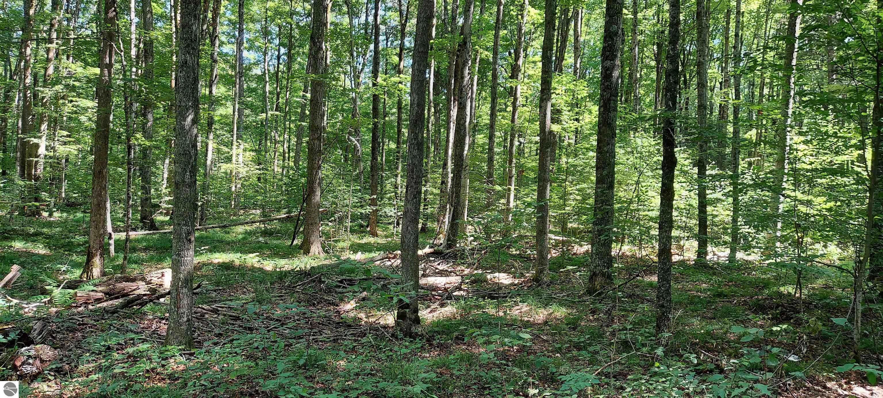 Image 14
