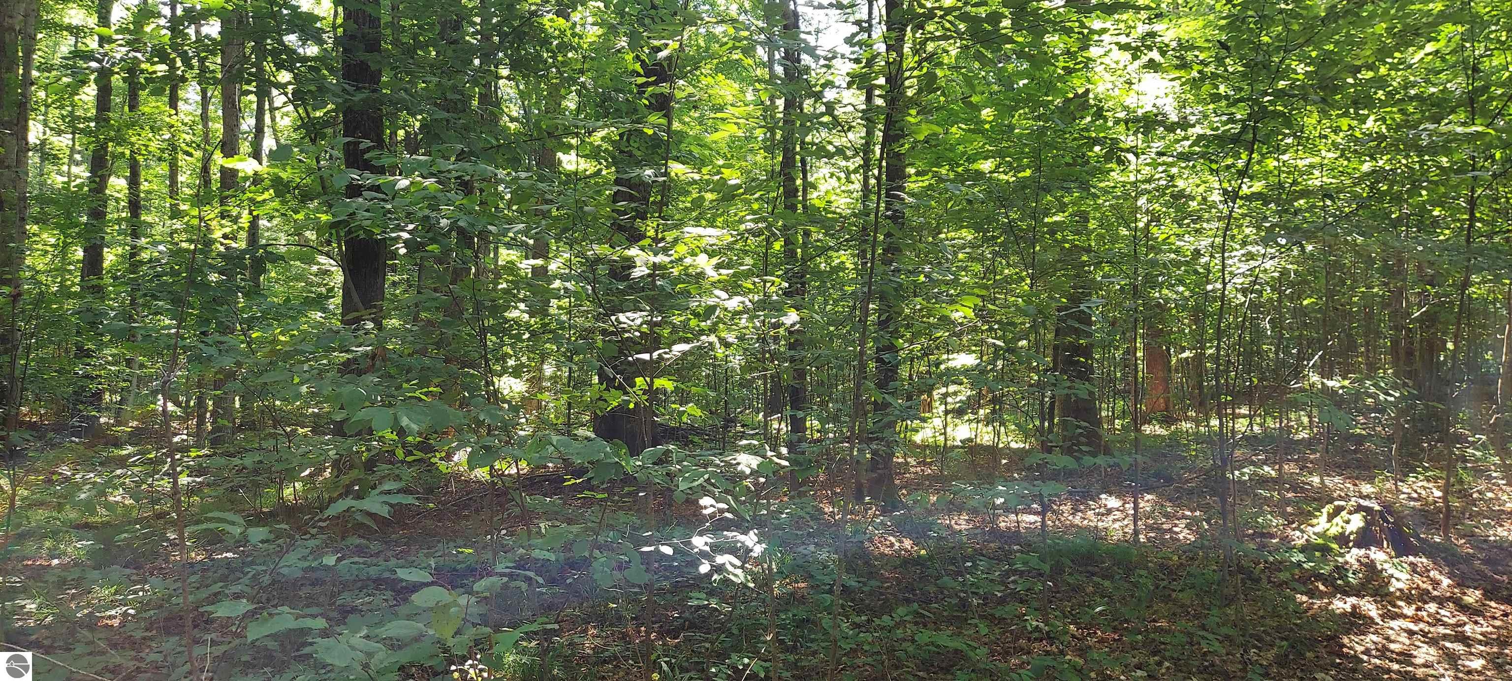 Image 15