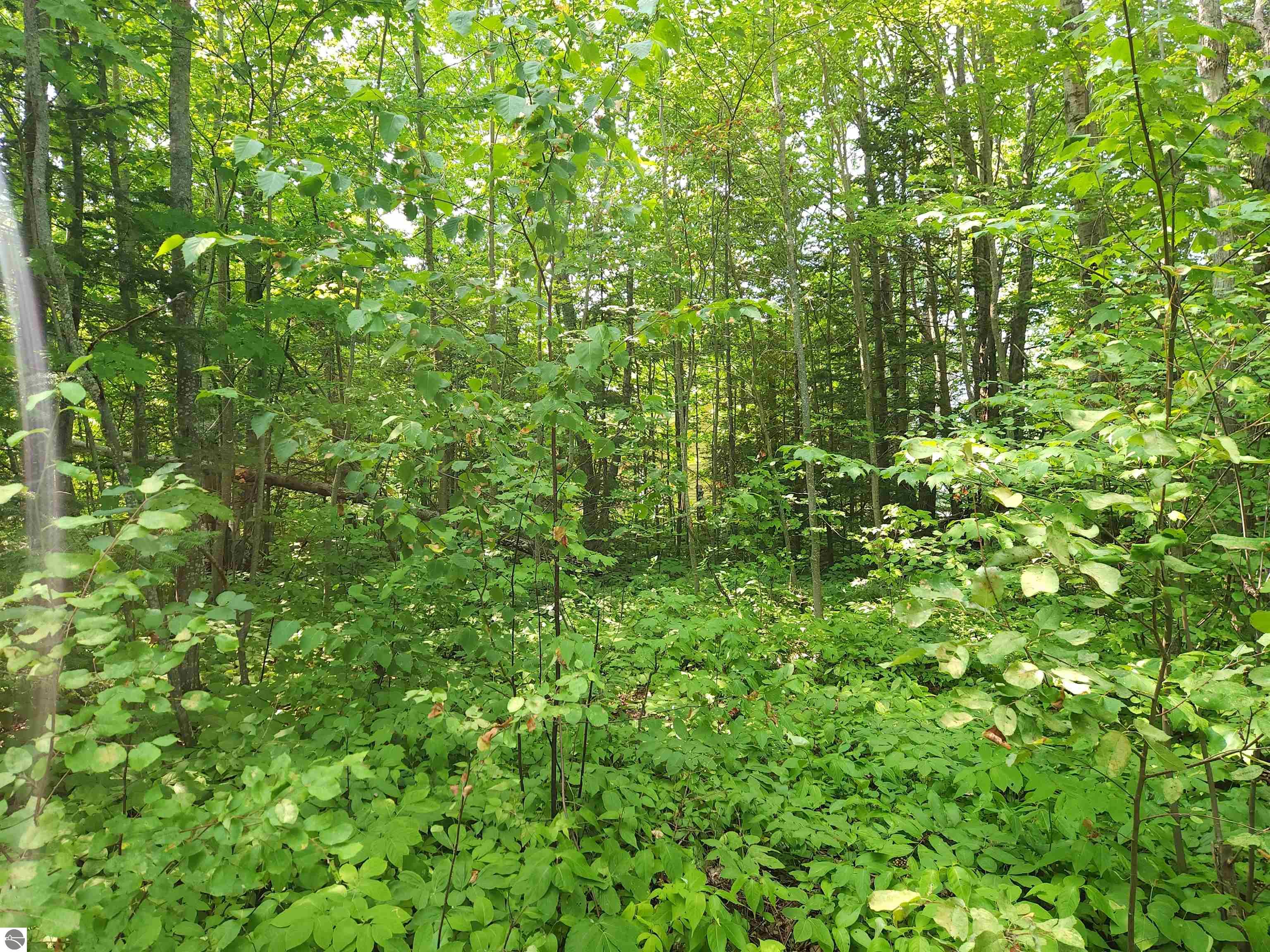 00 W US-23, Cheboygan MI 49721, Cheboygan, MI, 49721 — photo 4