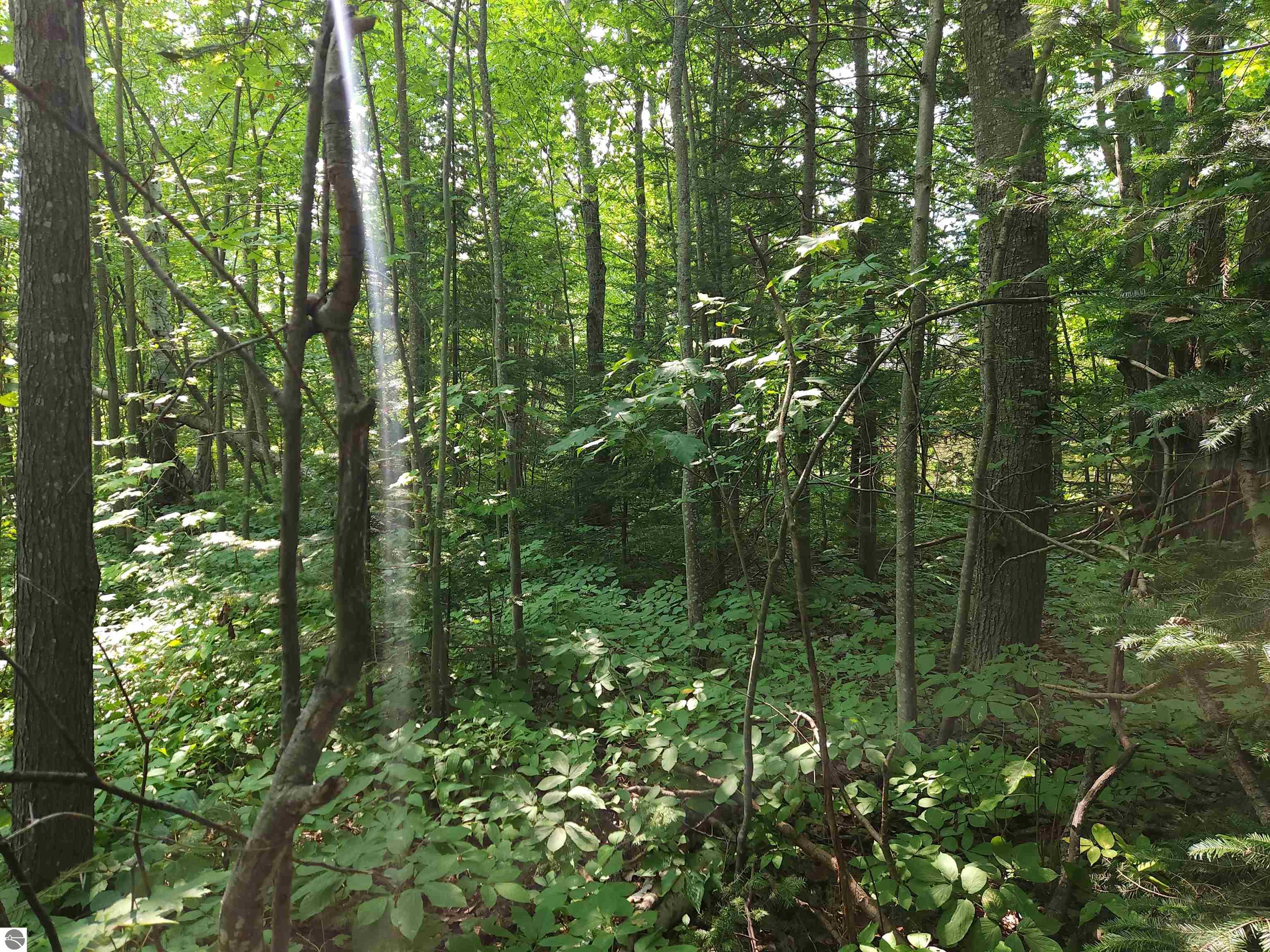 00 W US-23, Cheboygan MI 49721, Cheboygan, MI, 49721 — photo 5