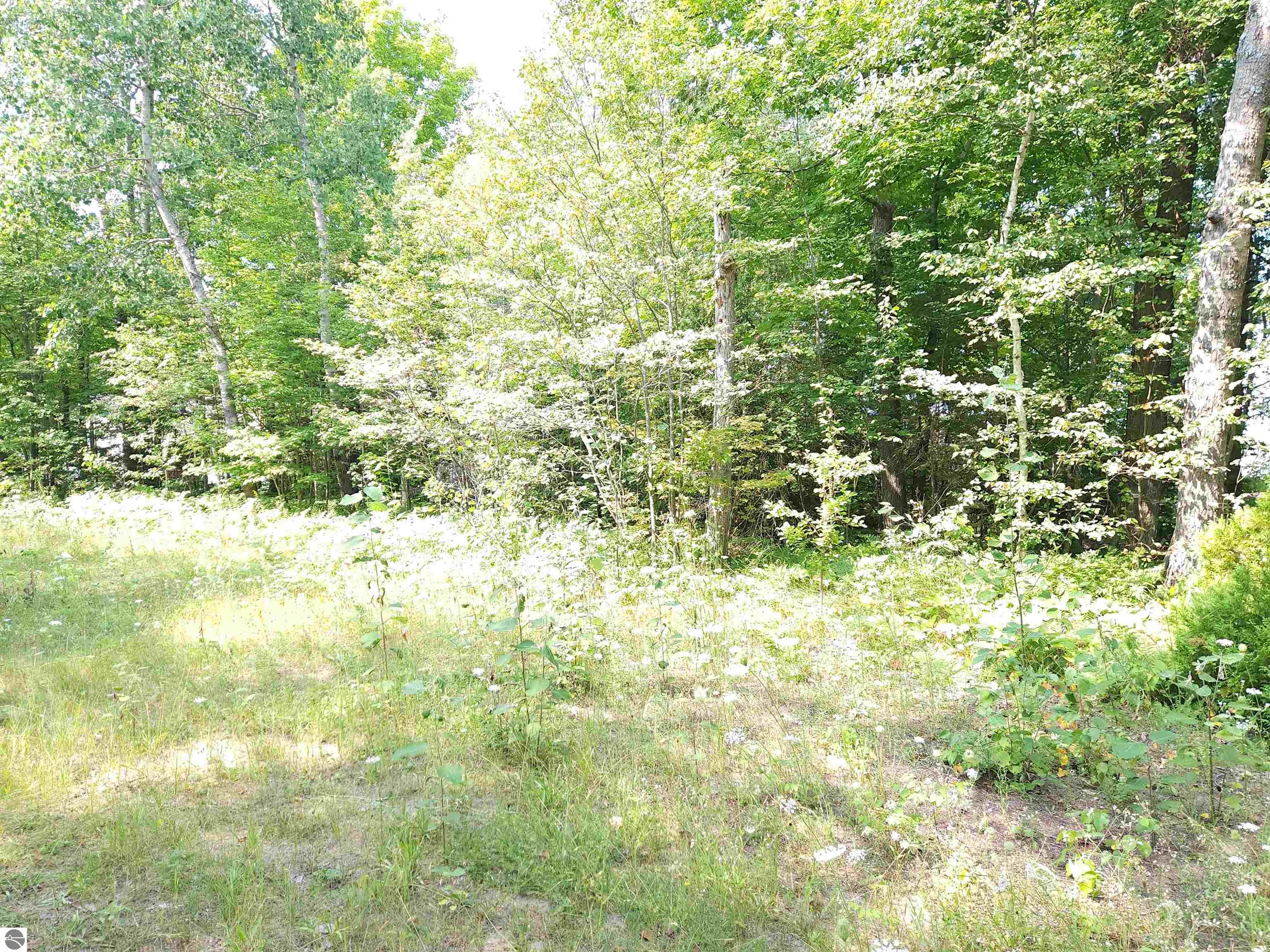 00 W US-23, Cheboygan MI 49721, Cheboygan, MI, 49721 — photo 9