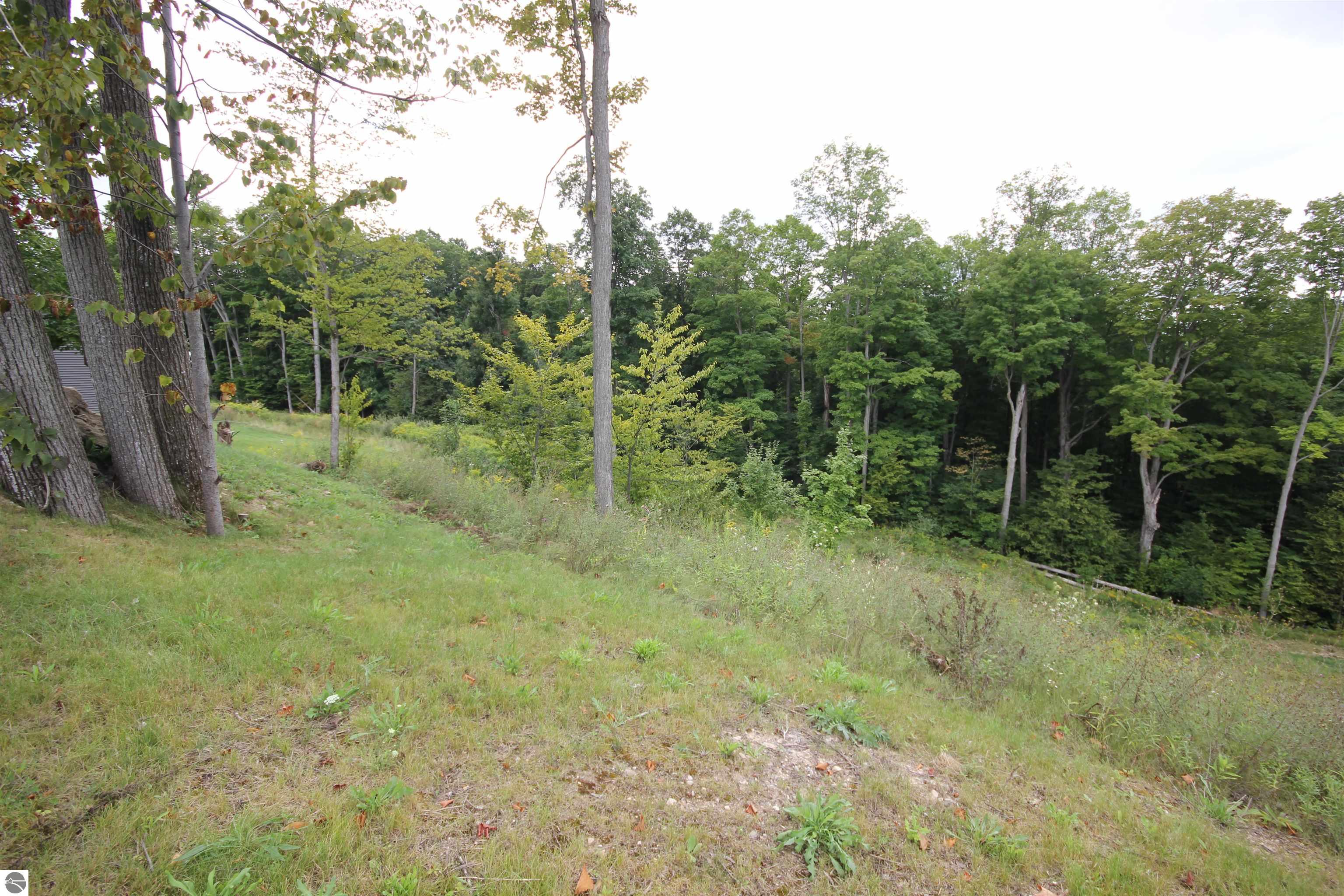 Image 36