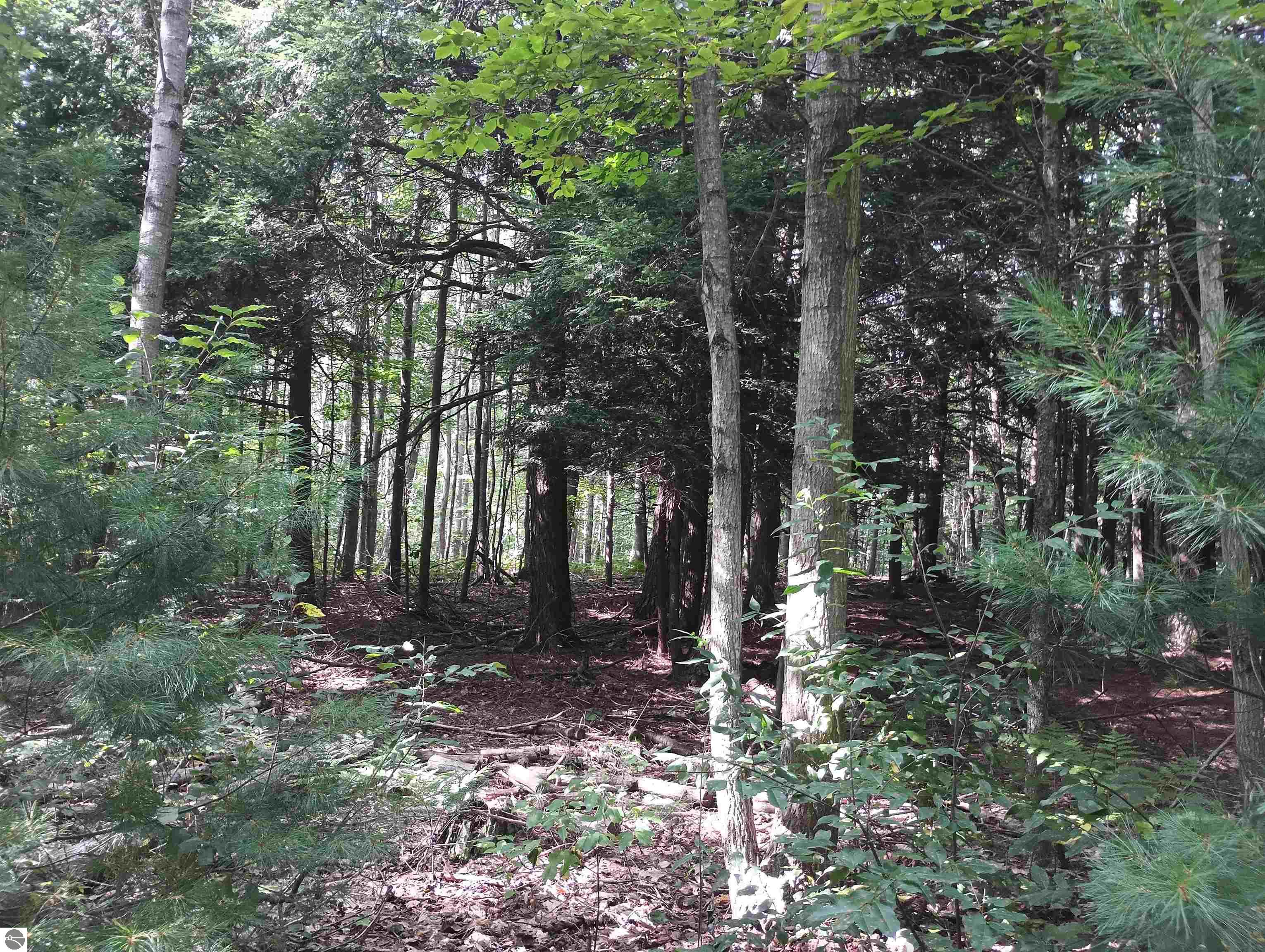 Image 9