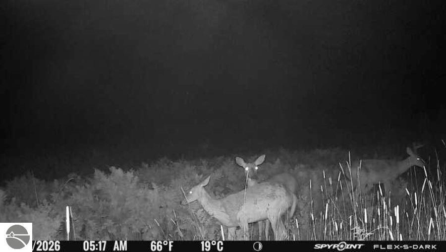 Image 60