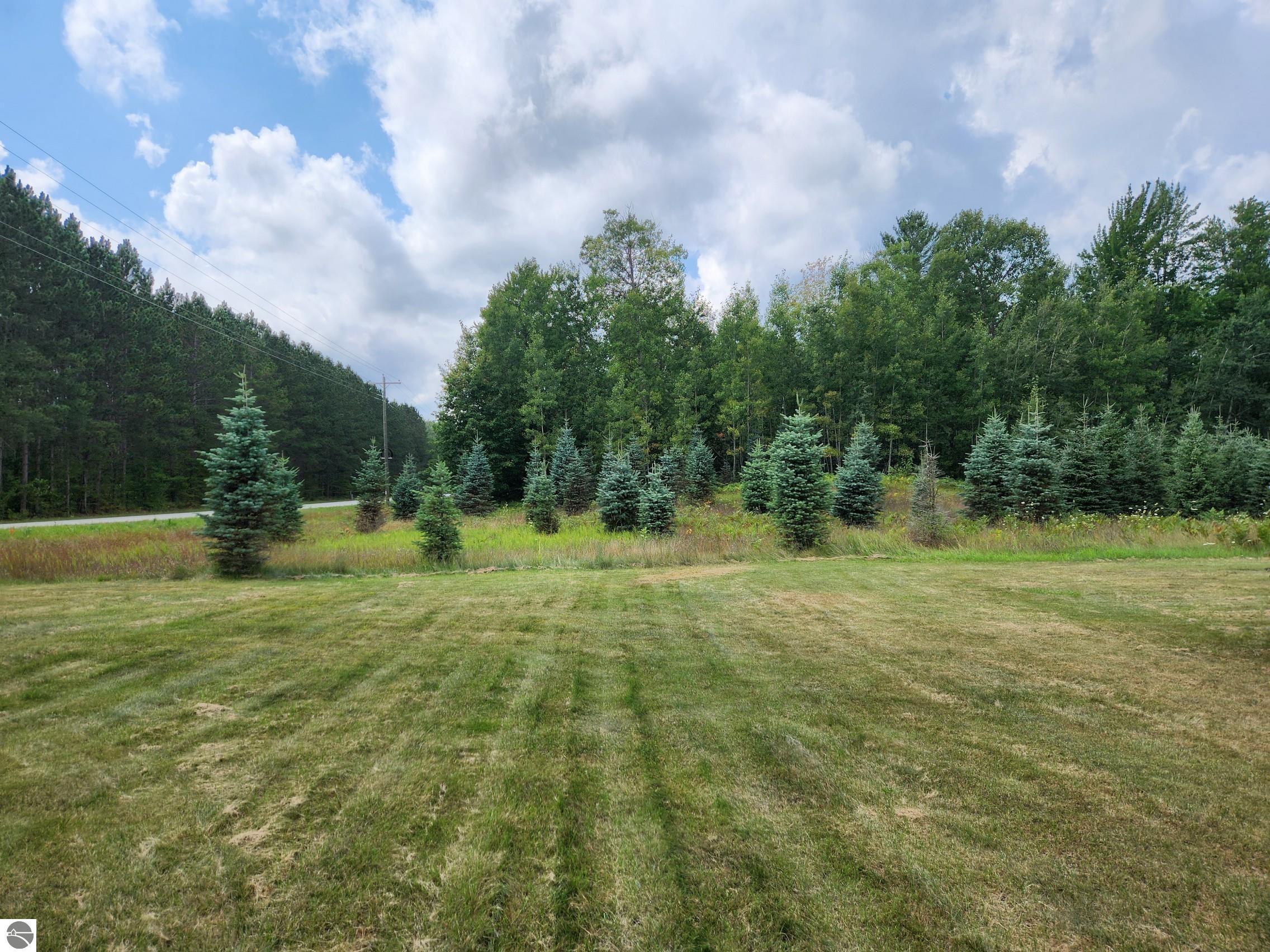 Image 45