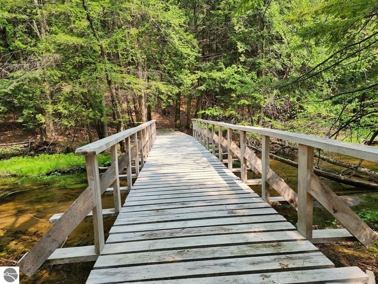 Image 13