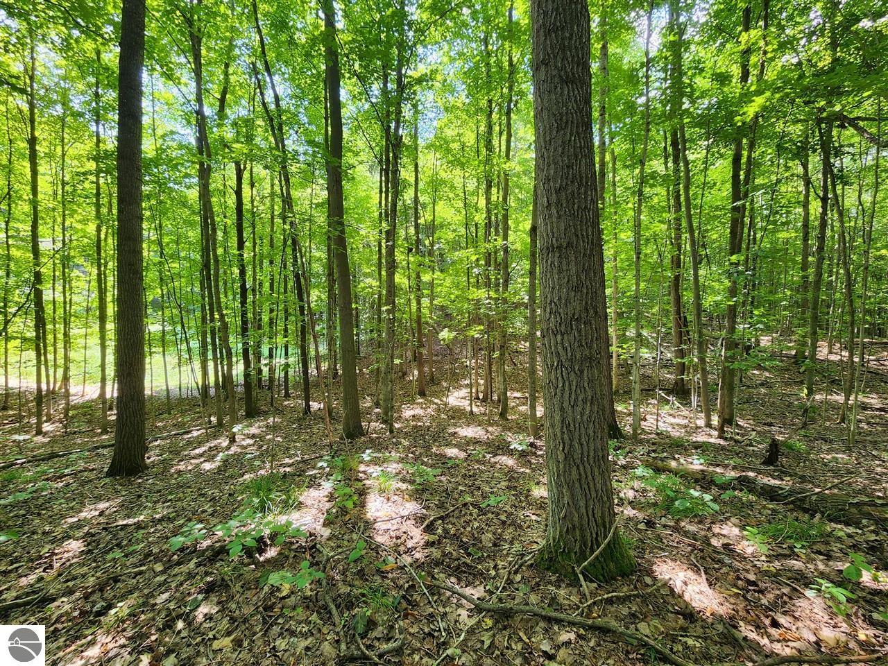 Image 15