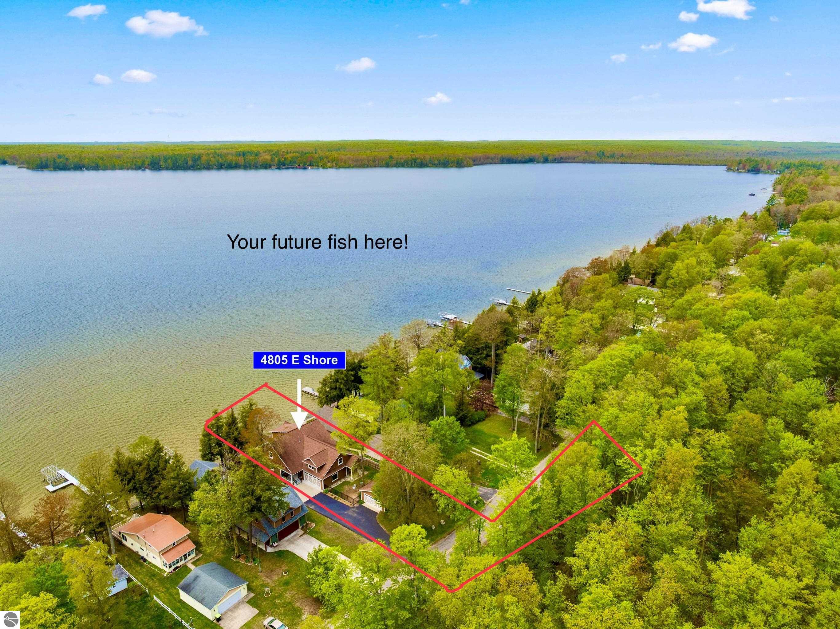 4805 E Shore Drive, Kalkaska MI 49646, Kalkaska, MI, 49646 — photo 8