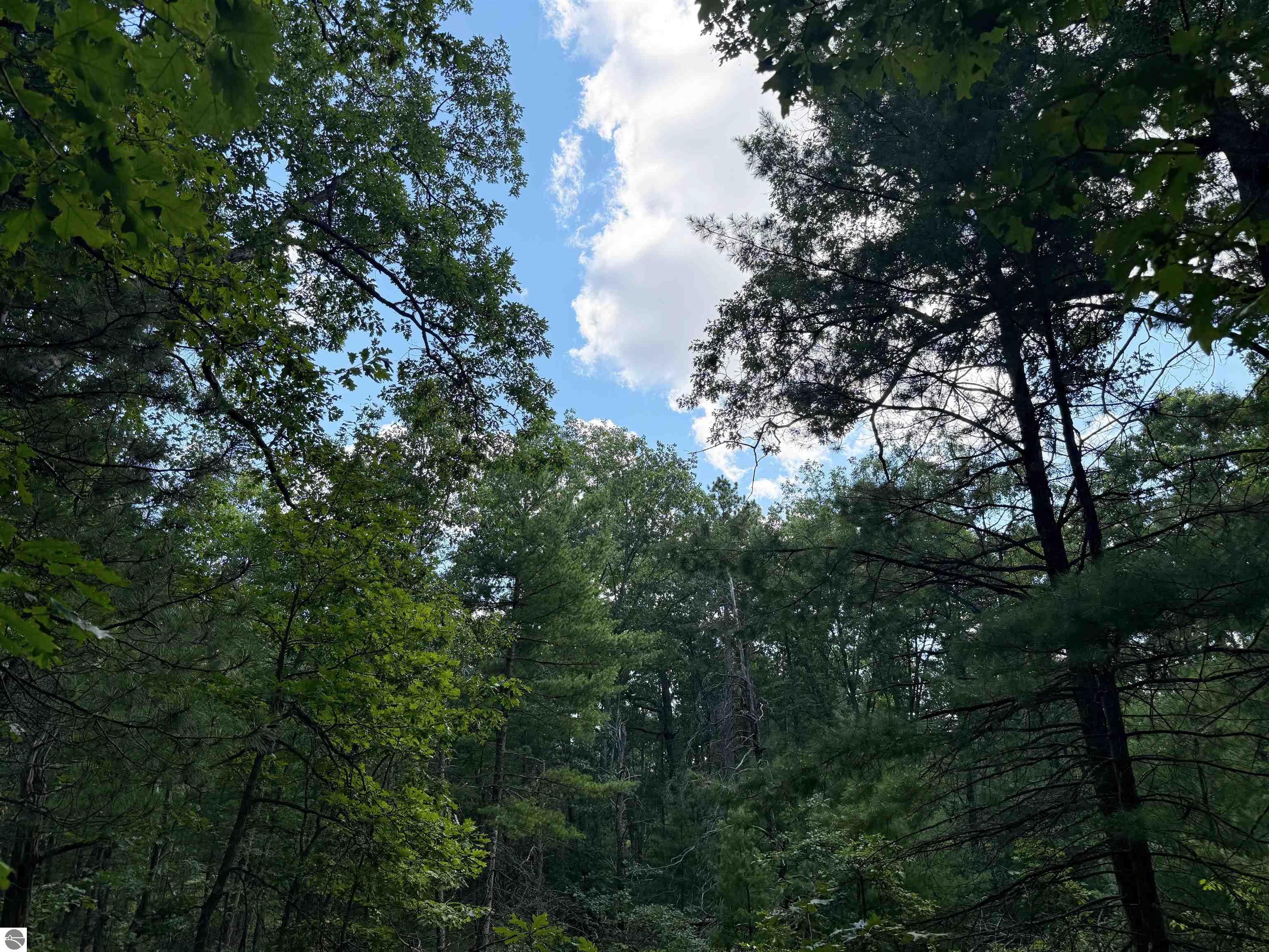 Image 14