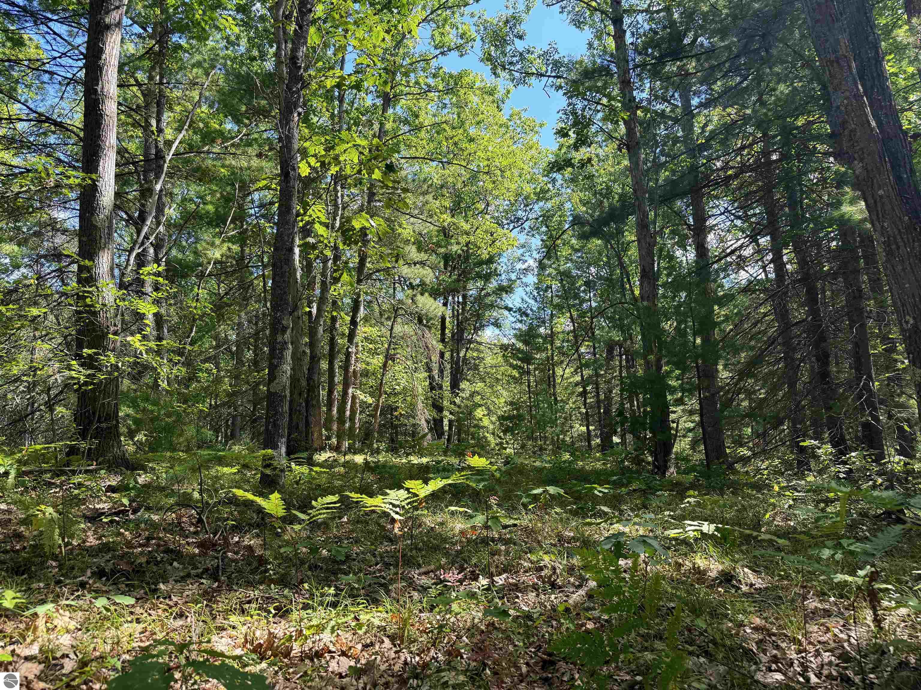 Image 18