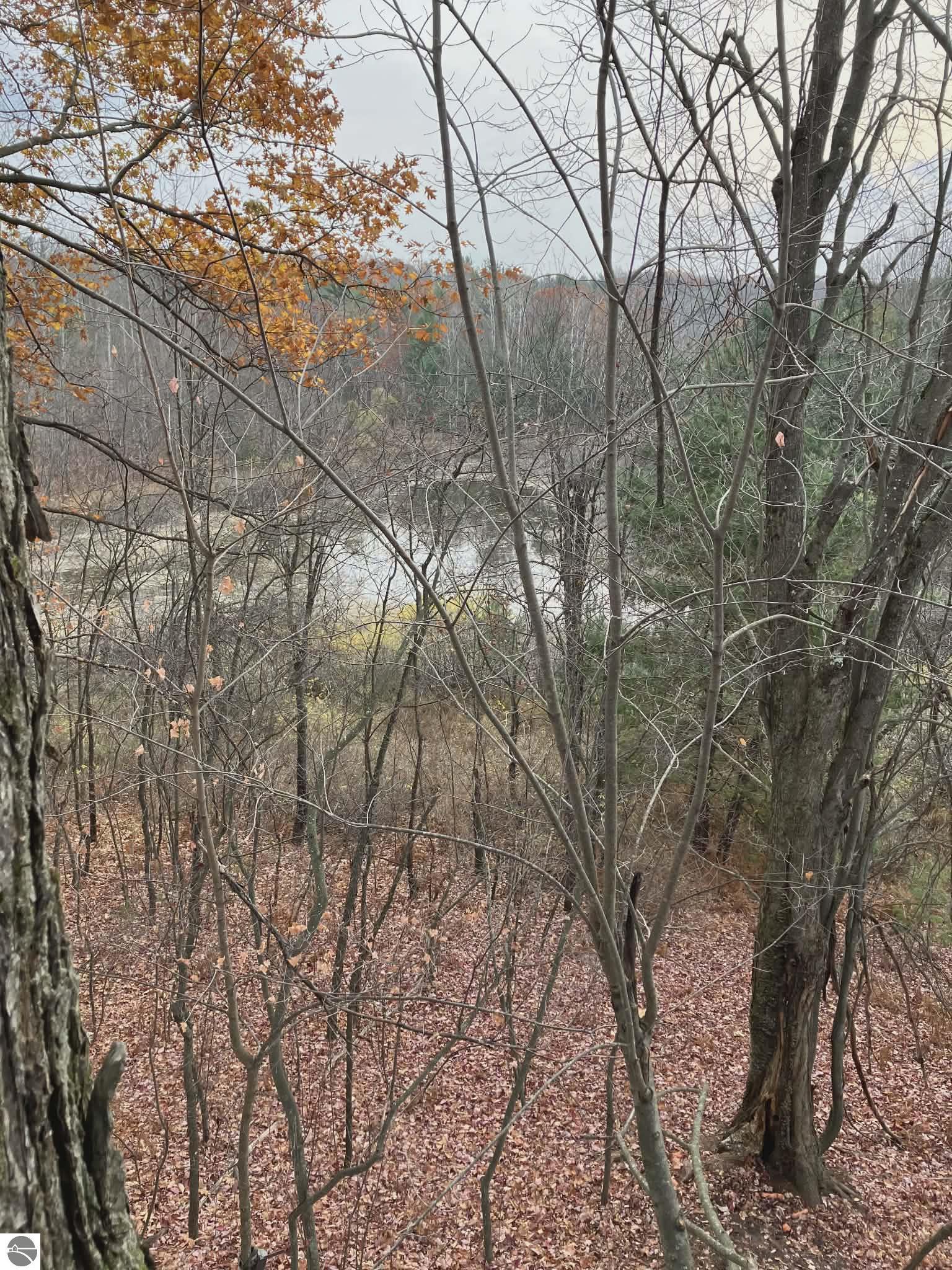 Image 13