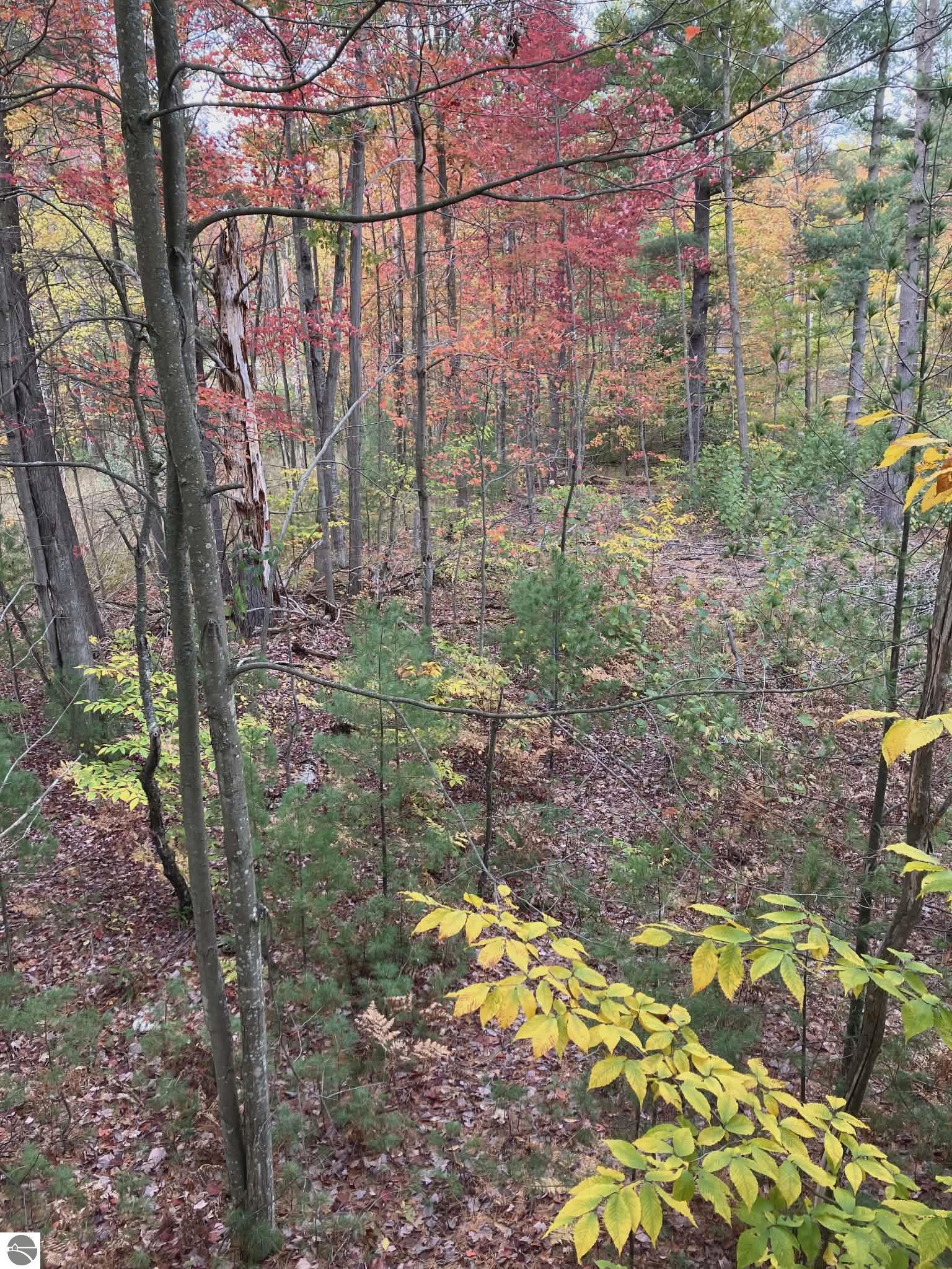 Image 14