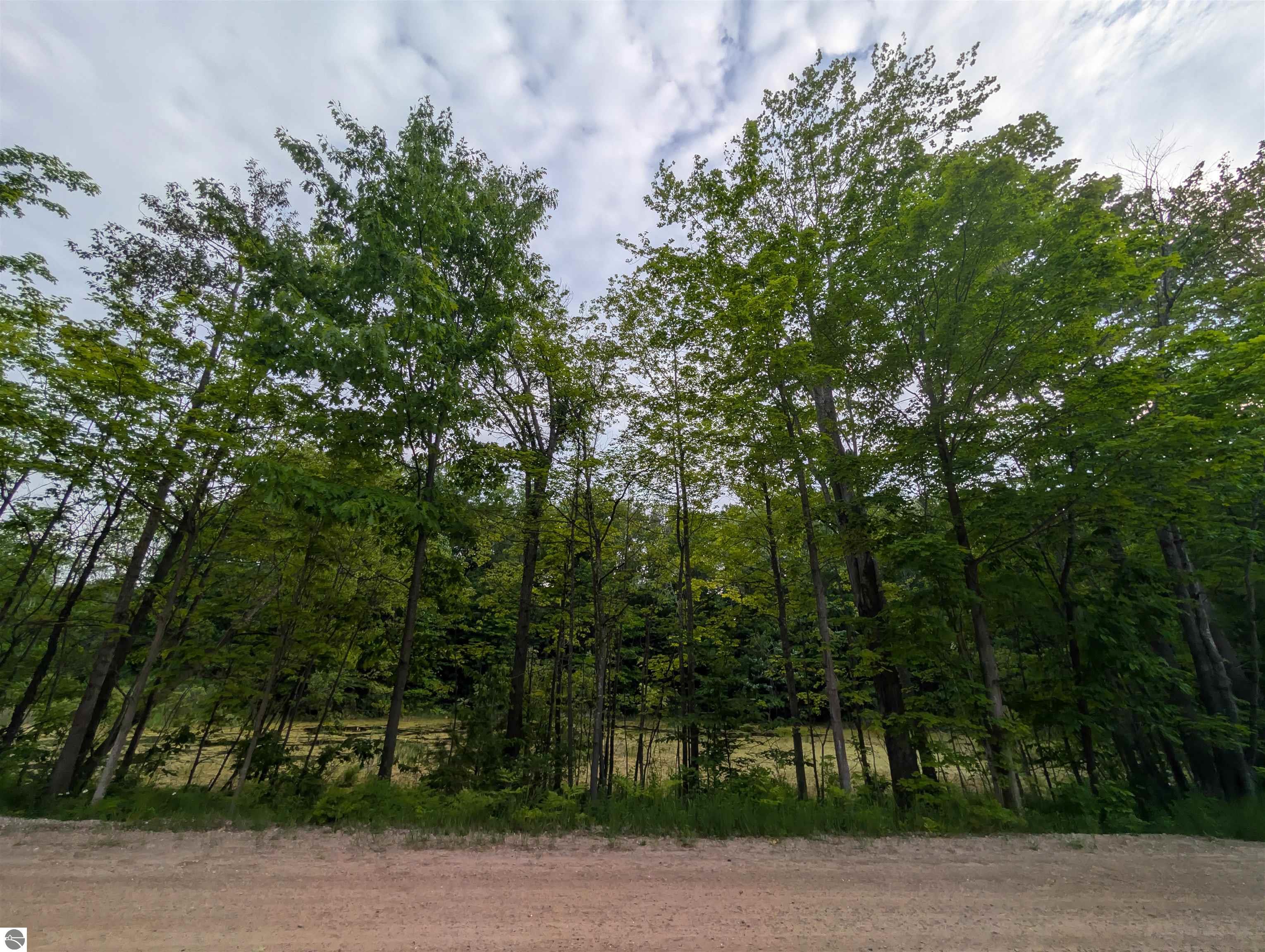 Image 15
