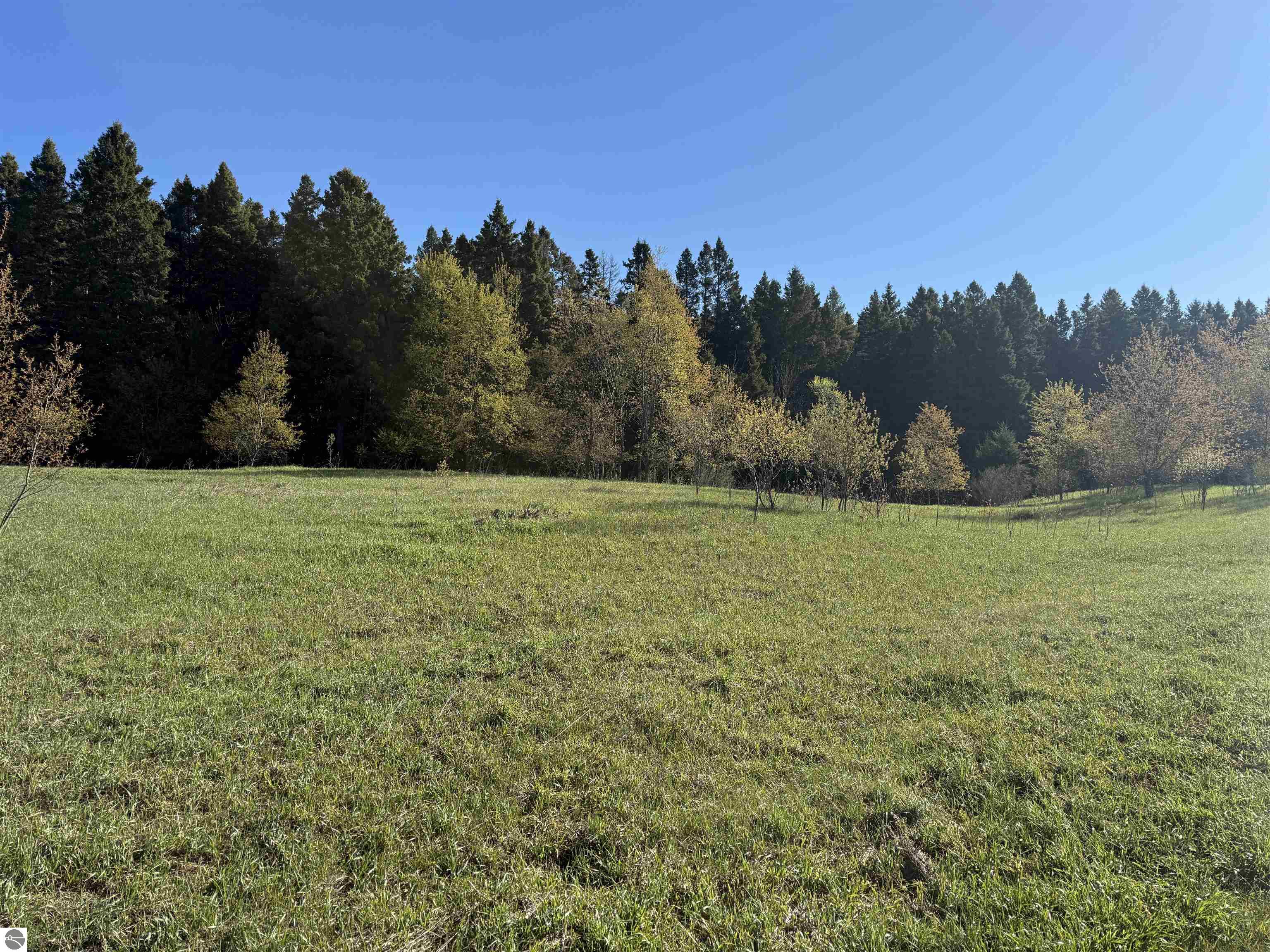 Image 14