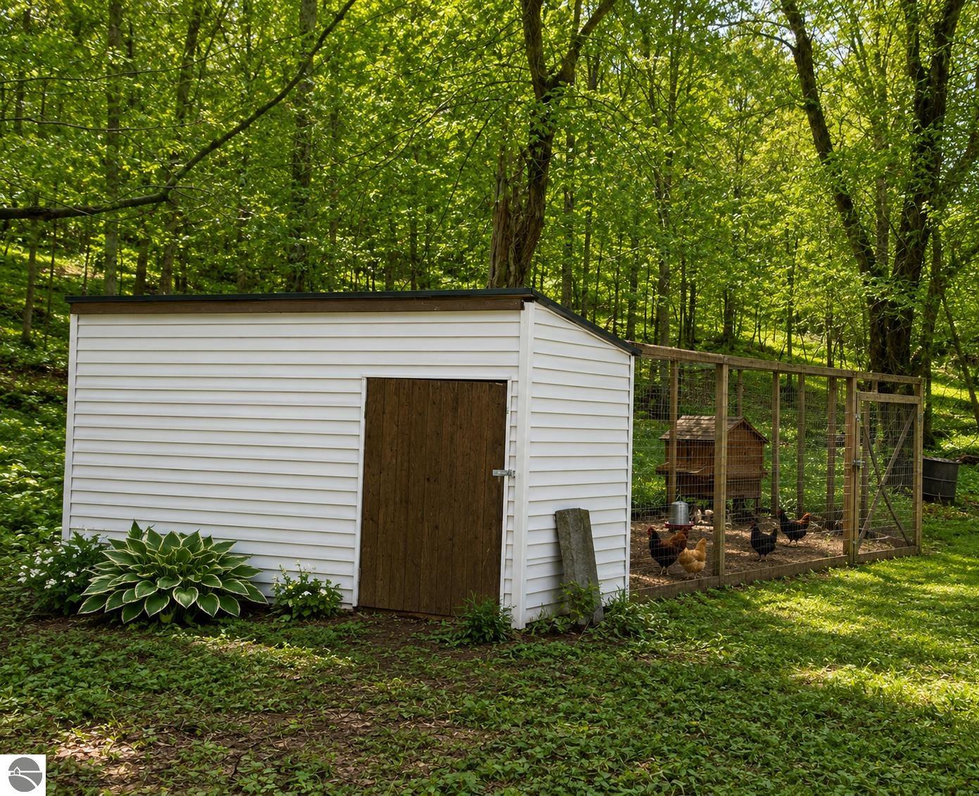 Image 19