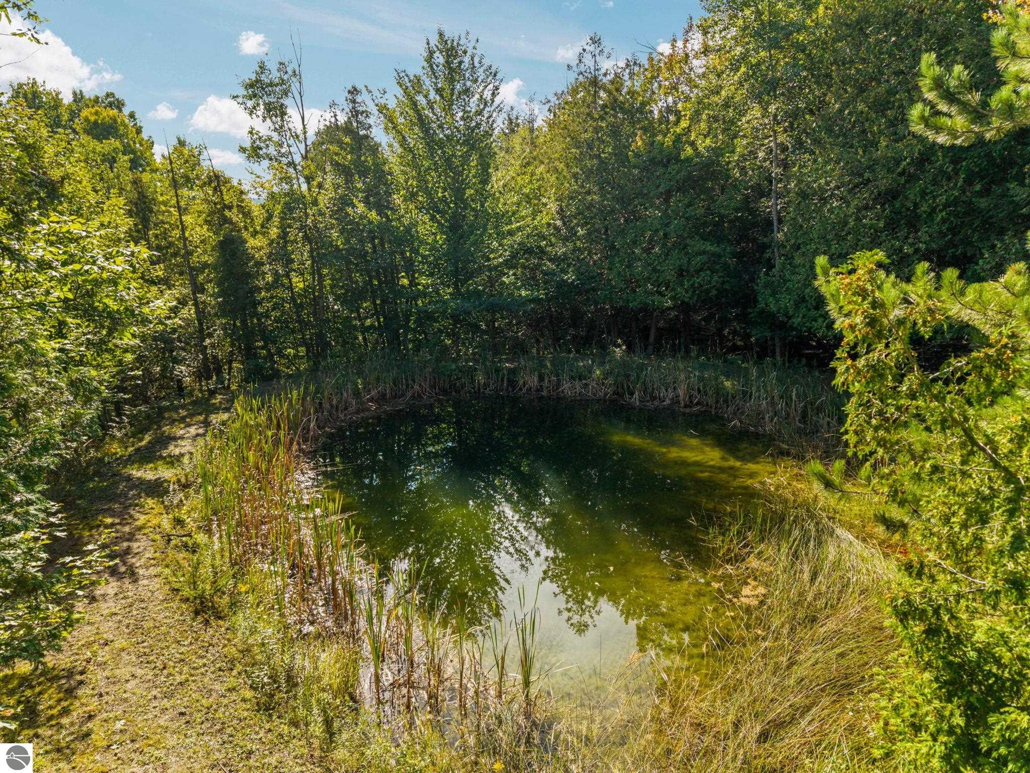Image 33